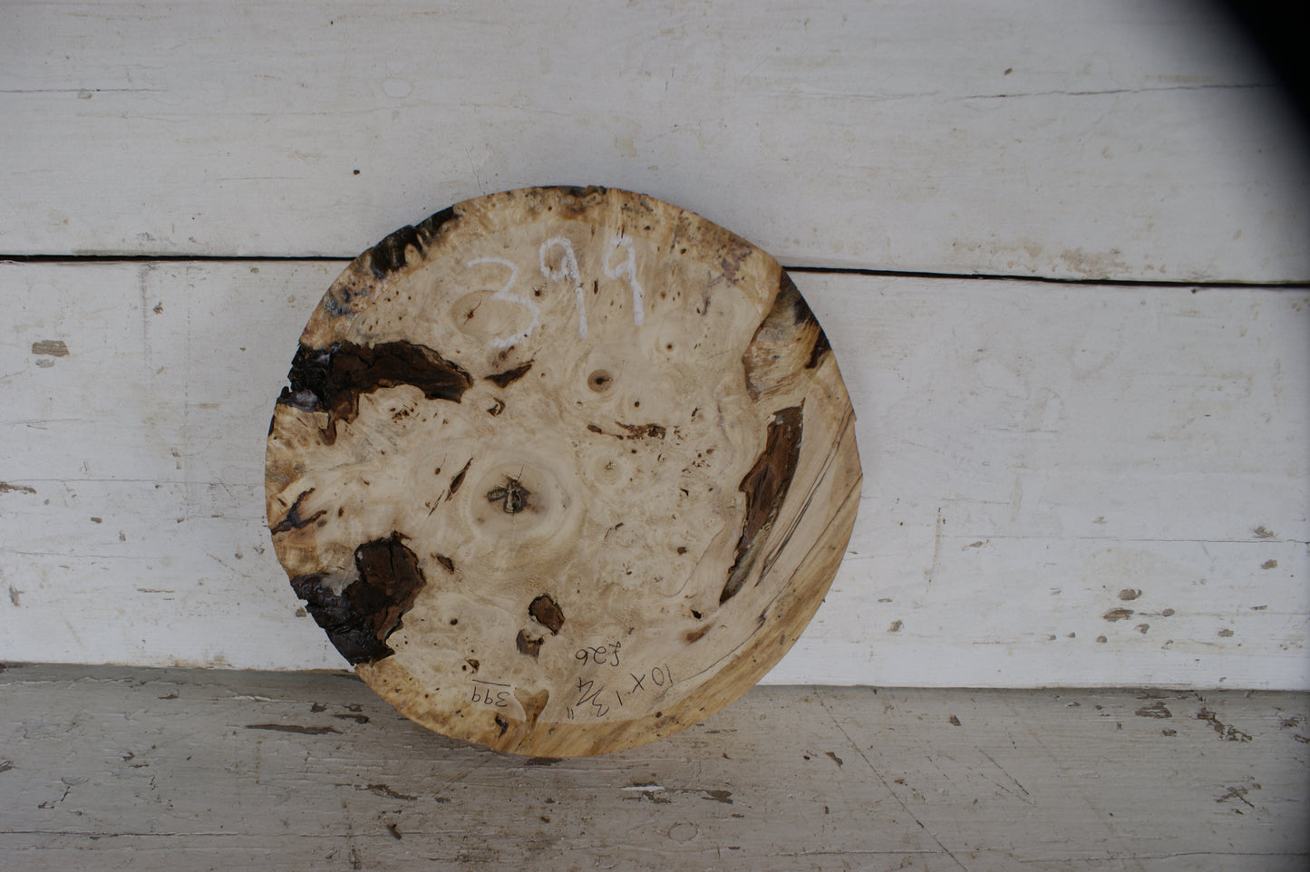 Burr Horse Chestnut wood turning blank 10 W x 1 3/4 D Inches (399)