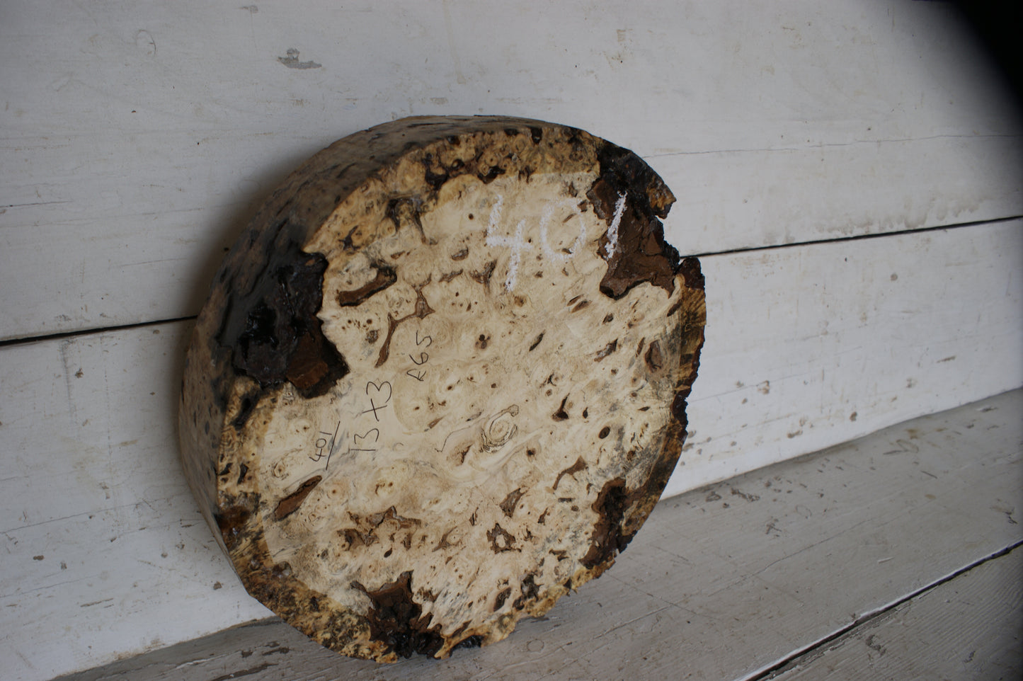 Burr Horse Chestnut wood turning blank 13 W x 3 D Inches (401)