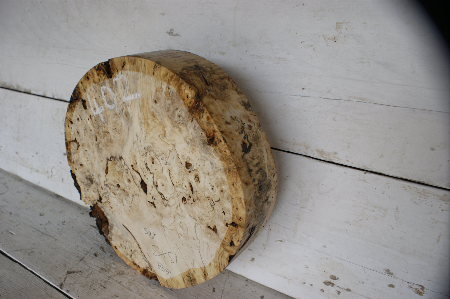 Burr Horse Chestnut wood turning blank 13 W x 3 D Inches (402)