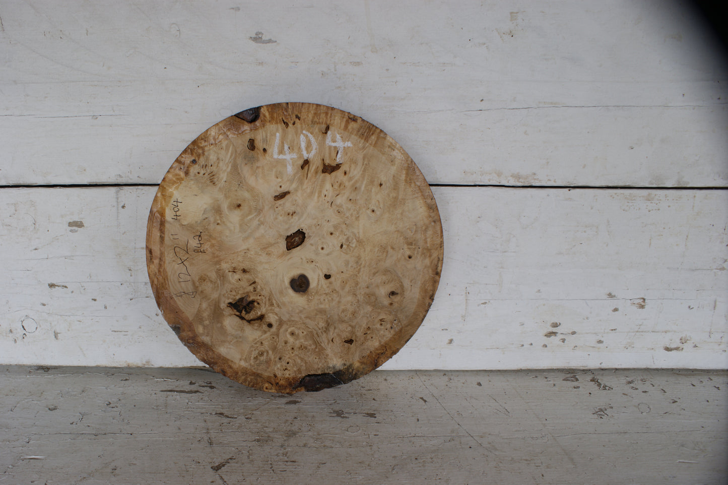 Burr Horse Chestnut wood turning blank 12 W x 2 D Inches (404))