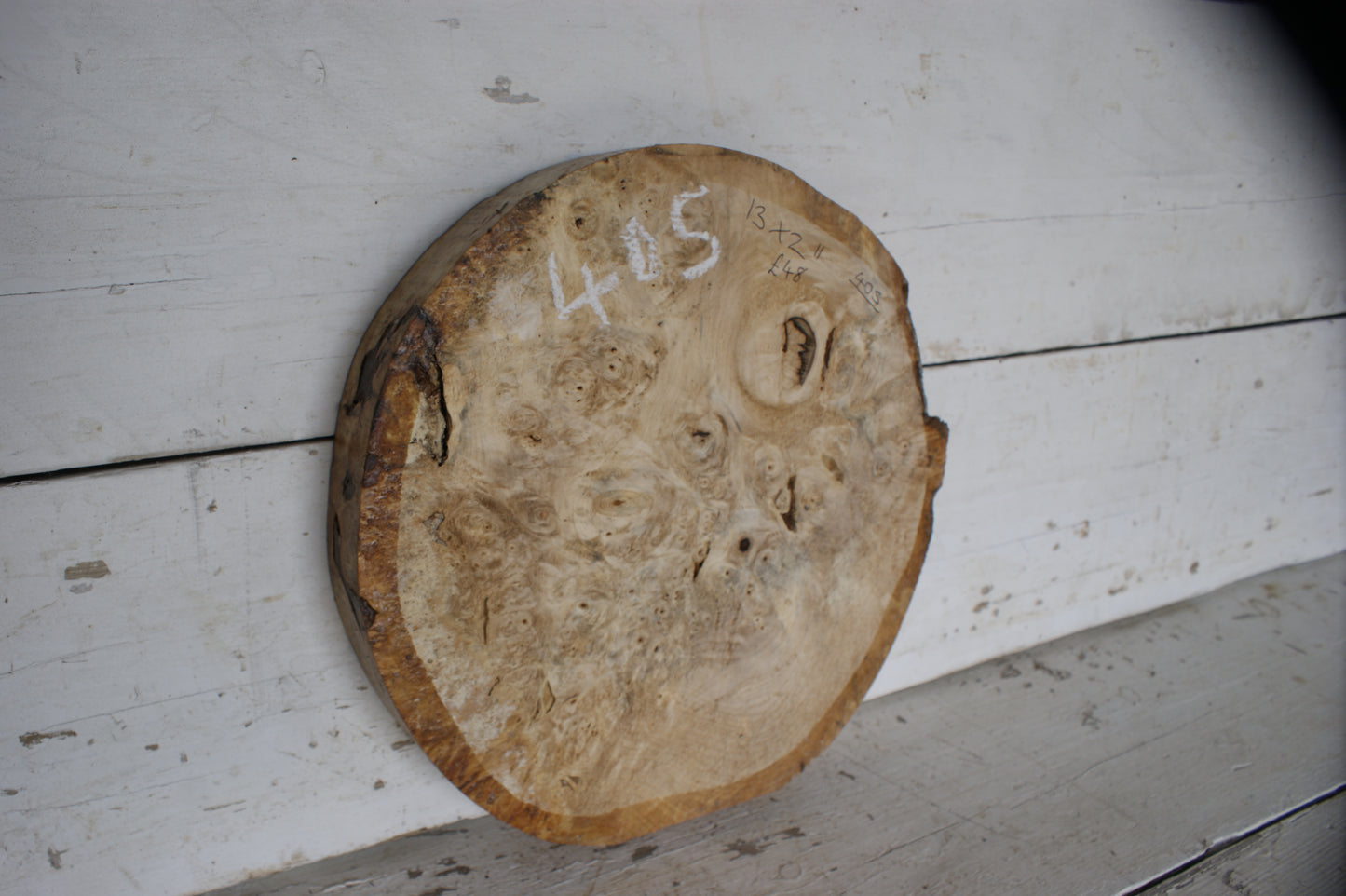 Burr Horse Chestnut wood turning blank 13 W x 2 D Inches (405))