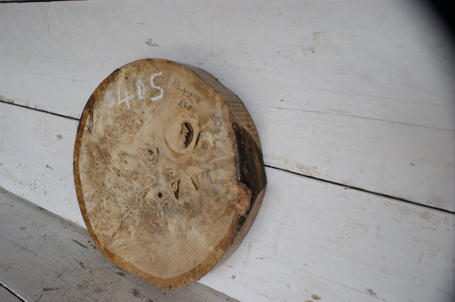 Burr Horse Chestnut wood turning blank 13 W x 2 D Inches (405))
