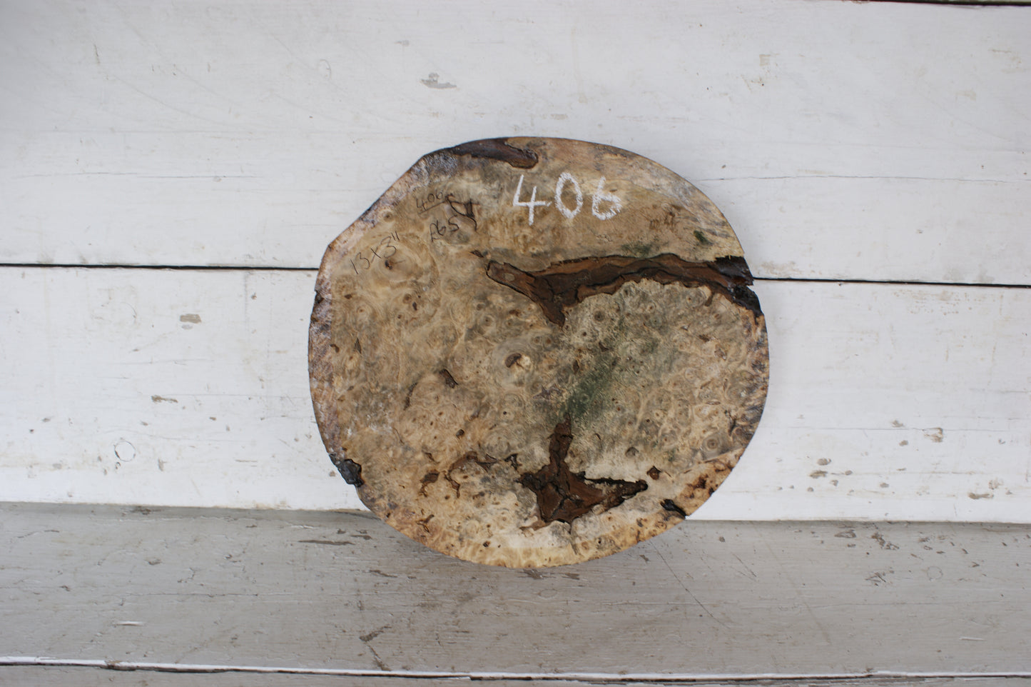 Burr Horse Chestnut wood turning blank 13 W x 3 D Inches (406)