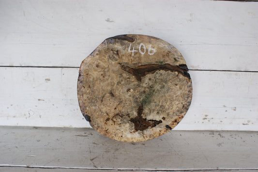 Burr Horse Chestnut wood turning blank 13 W x 3 D Inches (406)