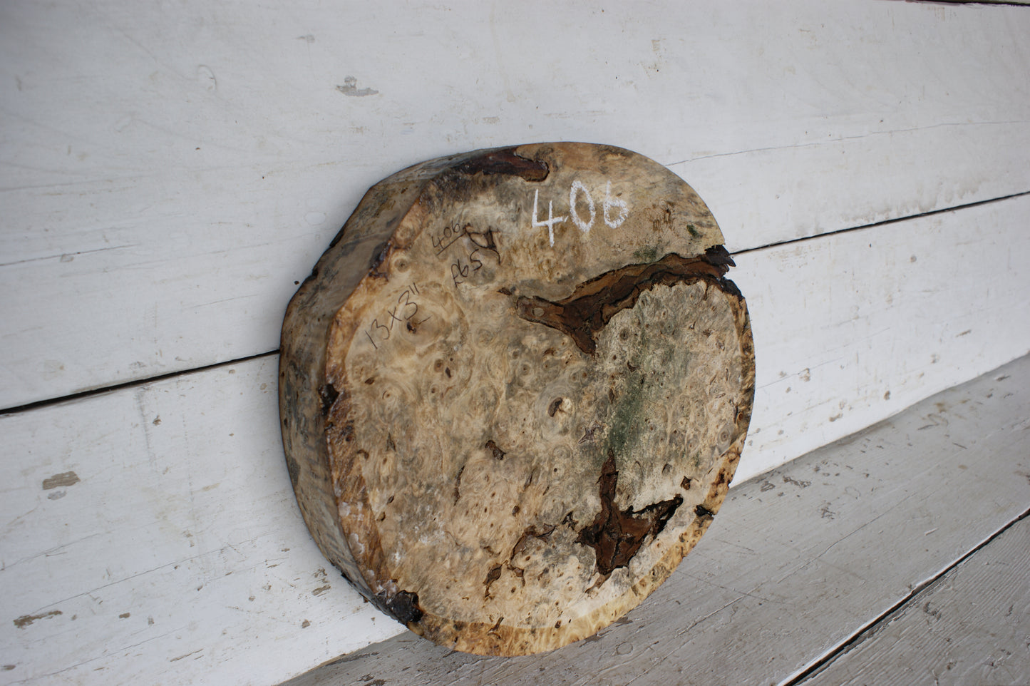 Burr Horse Chestnut wood turning blank 13 W x 3 D Inches (406)