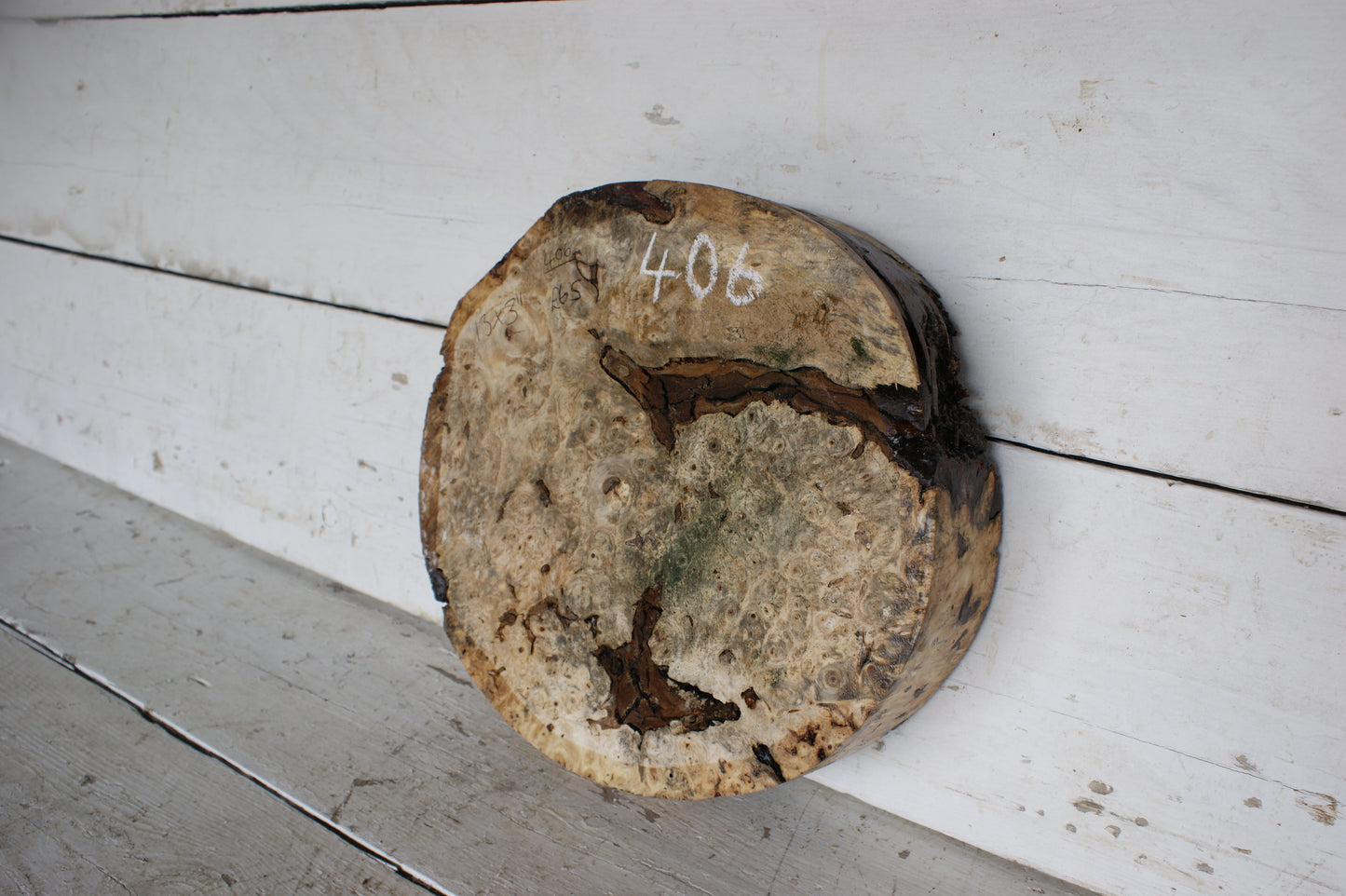 Burr Horse Chestnut wood turning blank 13 W x 3 D Inches (406)