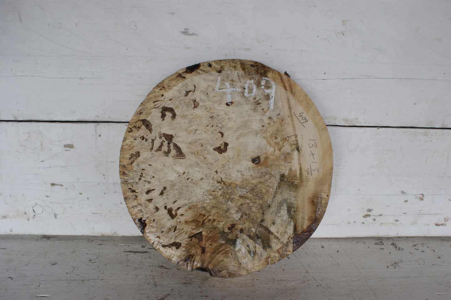 Burr Horse Chestnut wood turning blank 13 W x1 3/4 D Inches (409)