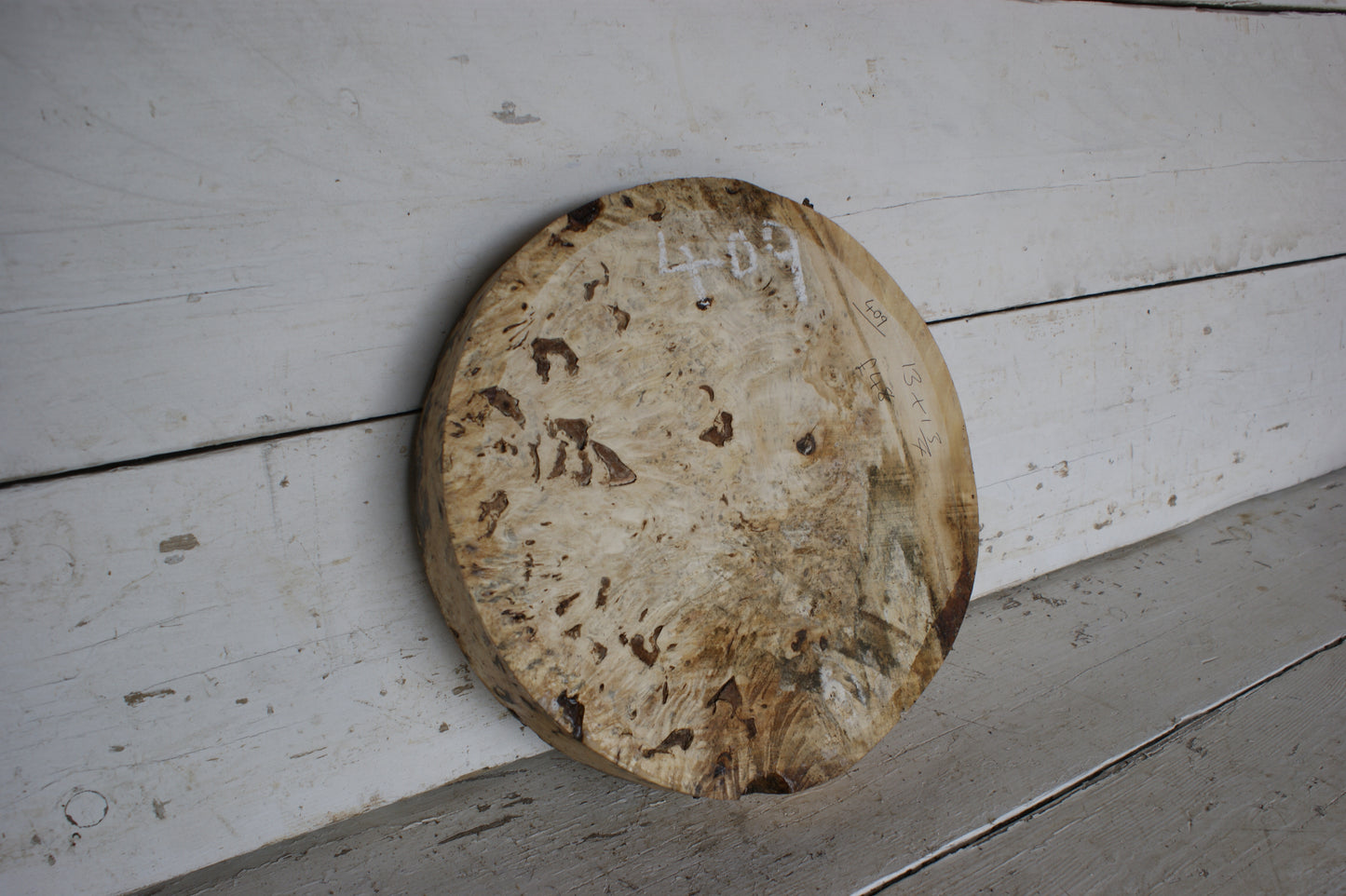 Burr Horse Chestnut wood turning blank 13 W x1 3/4 D Inches (409)