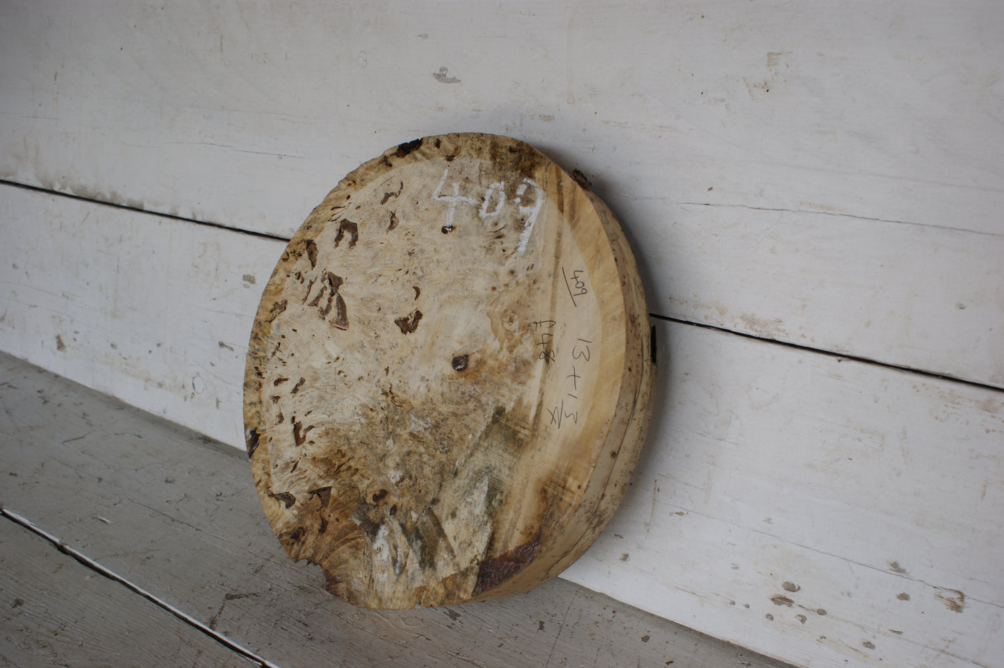 Burr Horse Chestnut wood turning blank 13 W x1 3/4 D Inches (409)