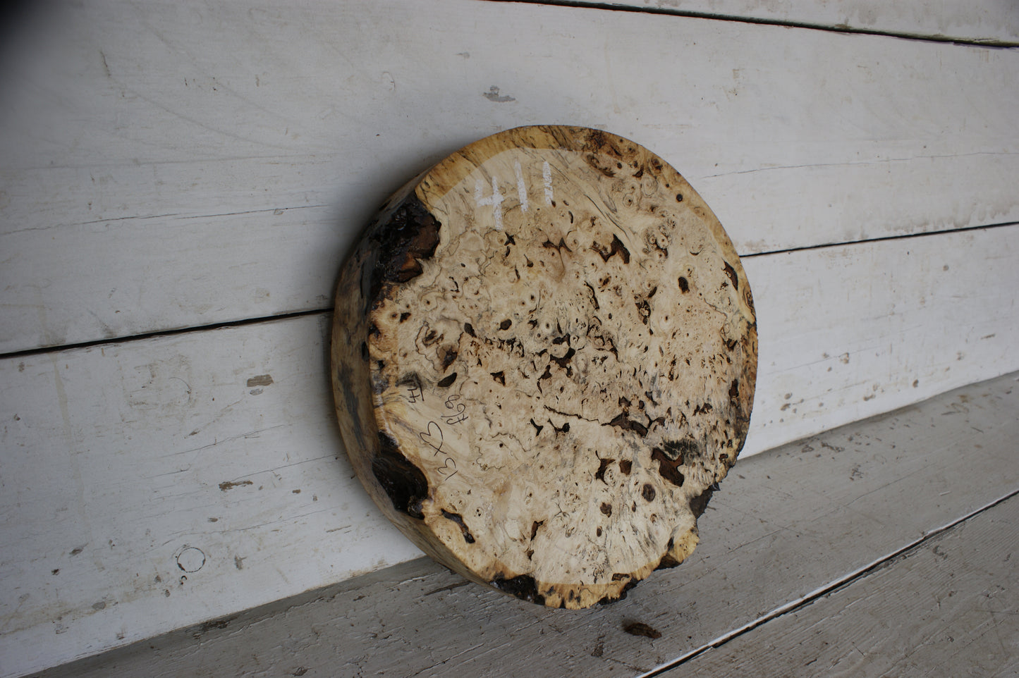 Burr Horse Chestnut wood turning blank 13 W x 3 D Inches (411)