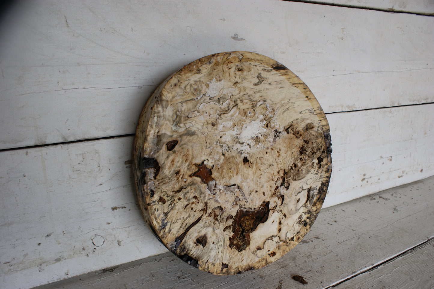 Burr Horse Chestnut wood turning blank 13 W x 3 D Inches (411)