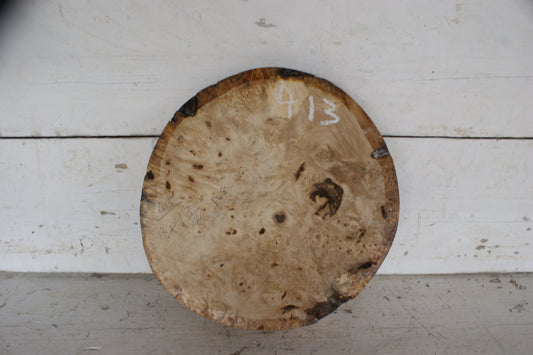 Burr Horse Chestnut wood turning blank 13 W x1  3/4 D Inches (413)