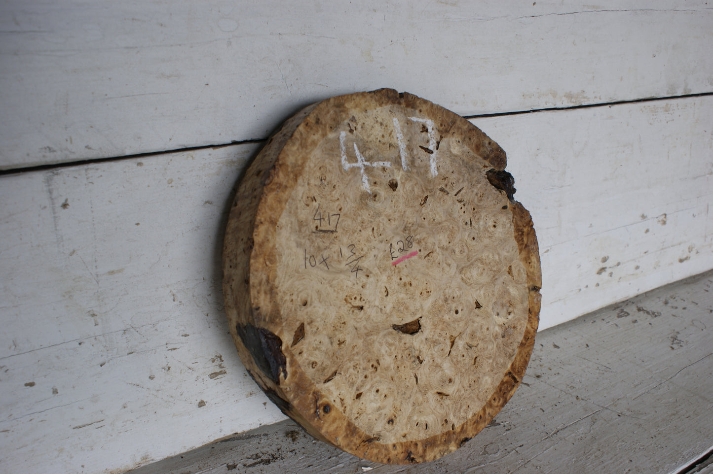 Burr Horse Chestnut wood turning blank 10 W x 1 3/4 D Inches (417)