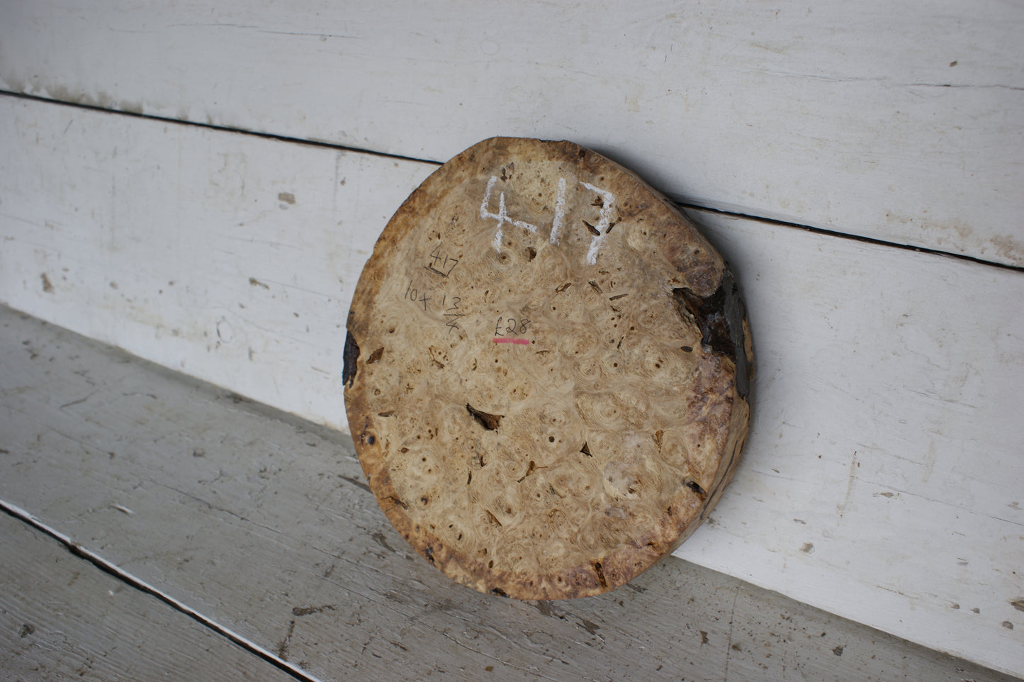 Burr Horse Chestnut wood turning blank 10 W x 1 3/4 D Inches (417)