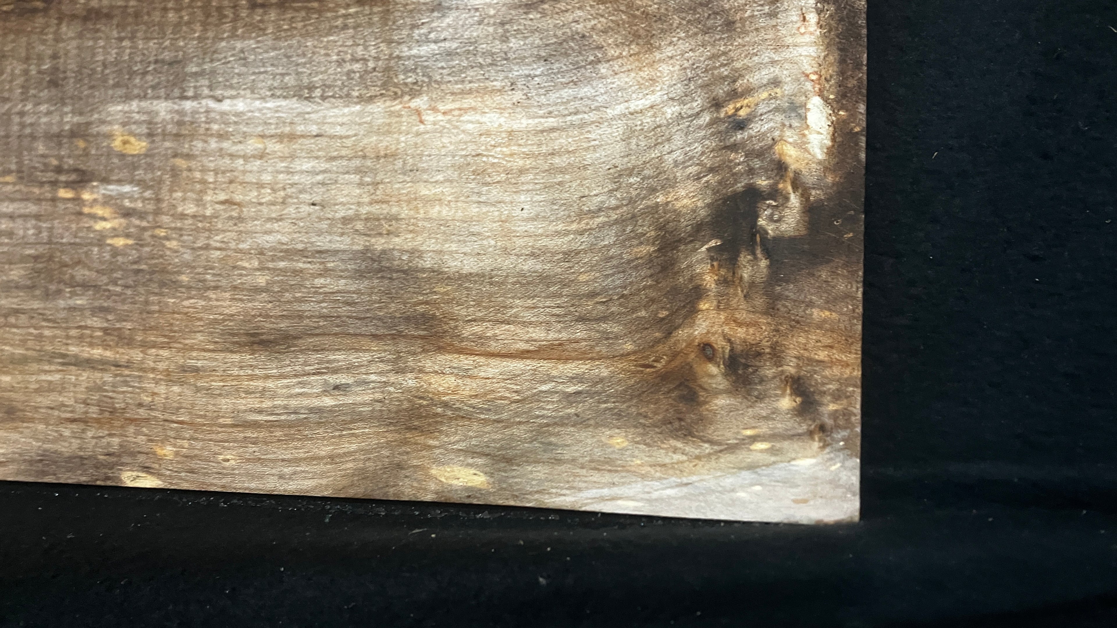 Sycamore tone wood, craft wood 621 L x 207 W x 20 D (mm)    (954)