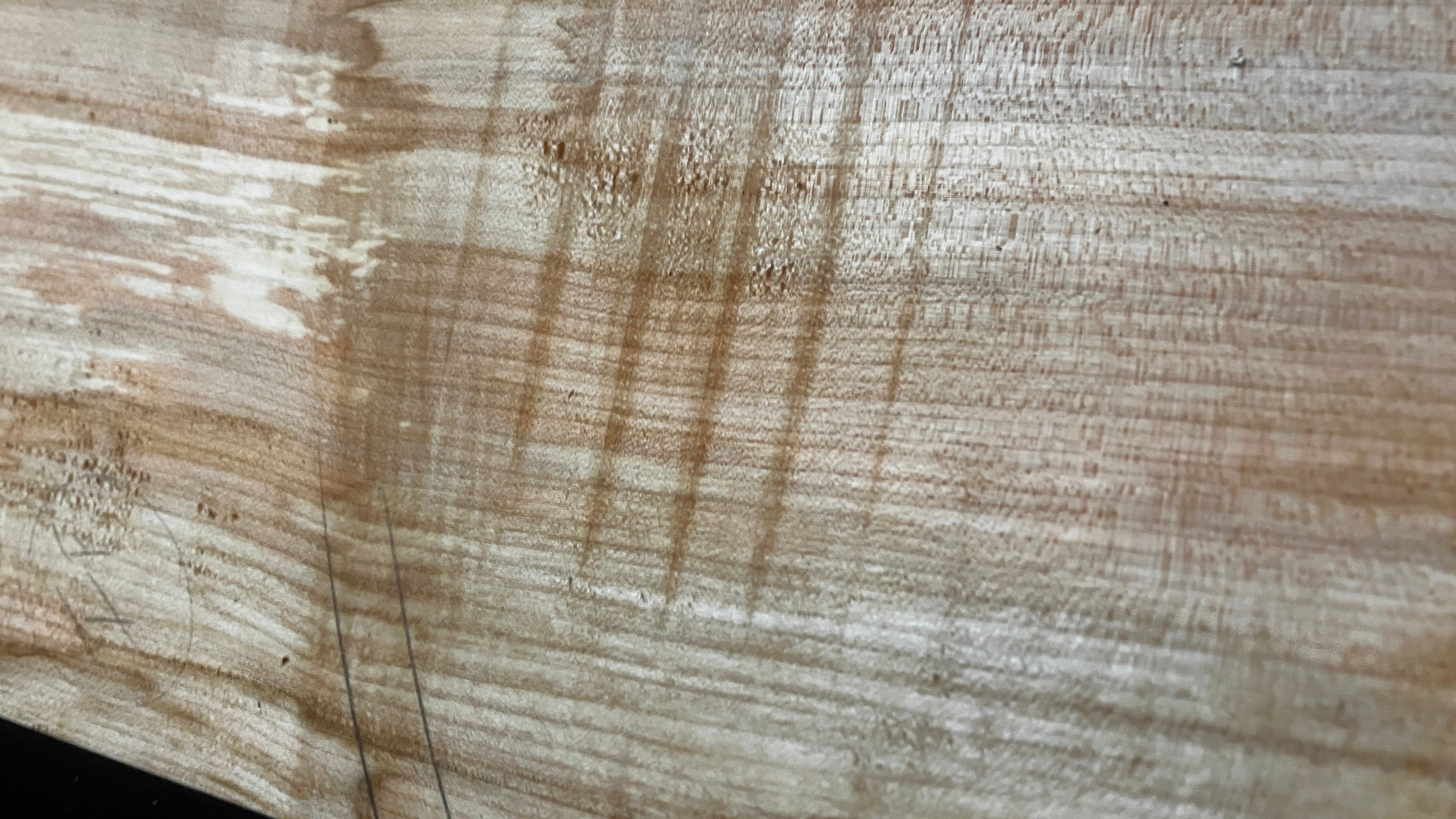 Sycamore tone wood, craft wood 620 L x 207 W x 15 D (mm)    (956)