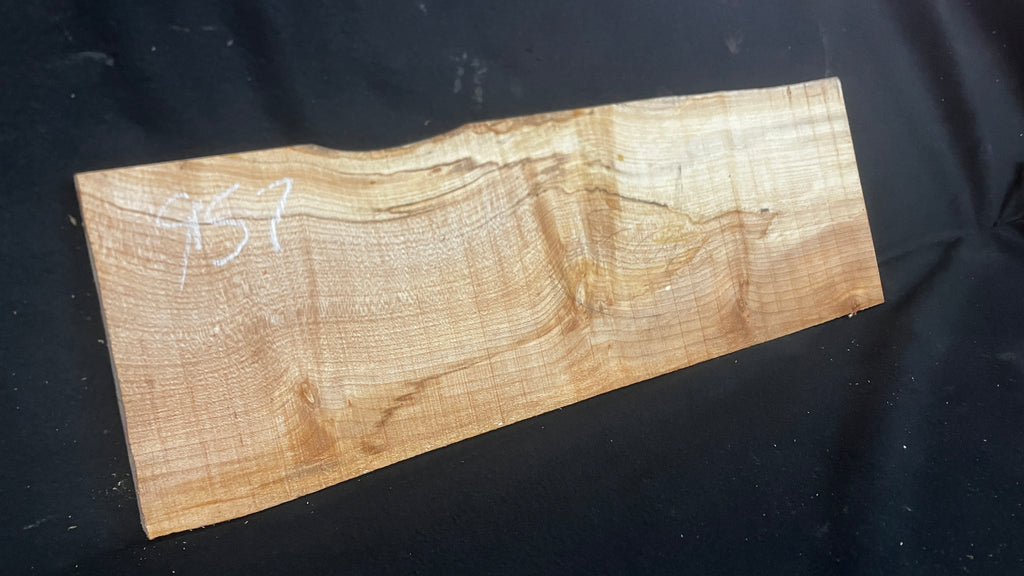 Sycamore tone wood, craft wood 615 L x 206 W x 20 D (mm)    (957)