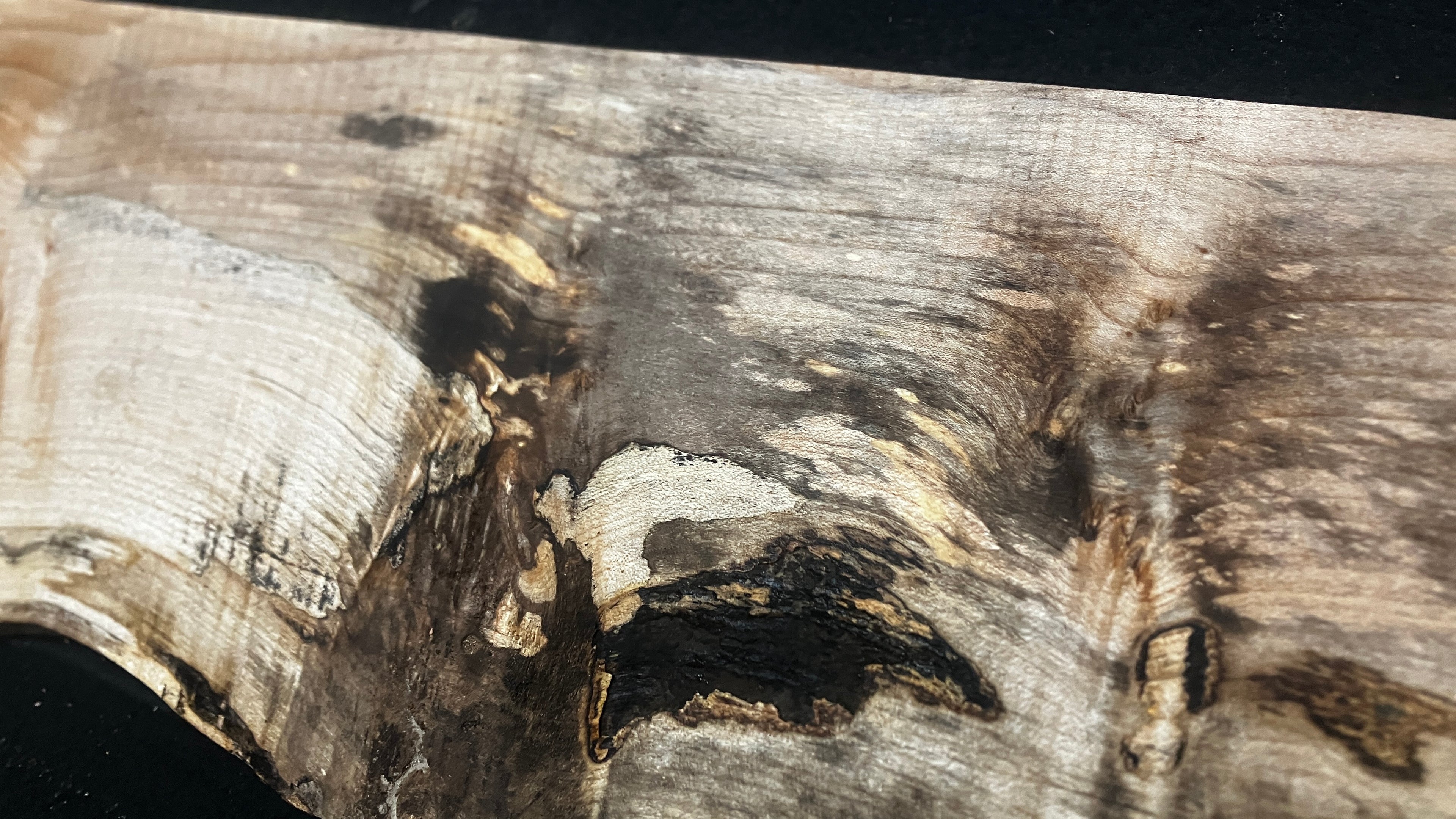 Sycamore tone wood, craft wood 615 L x 206 W x 20 D (mm)    (957)