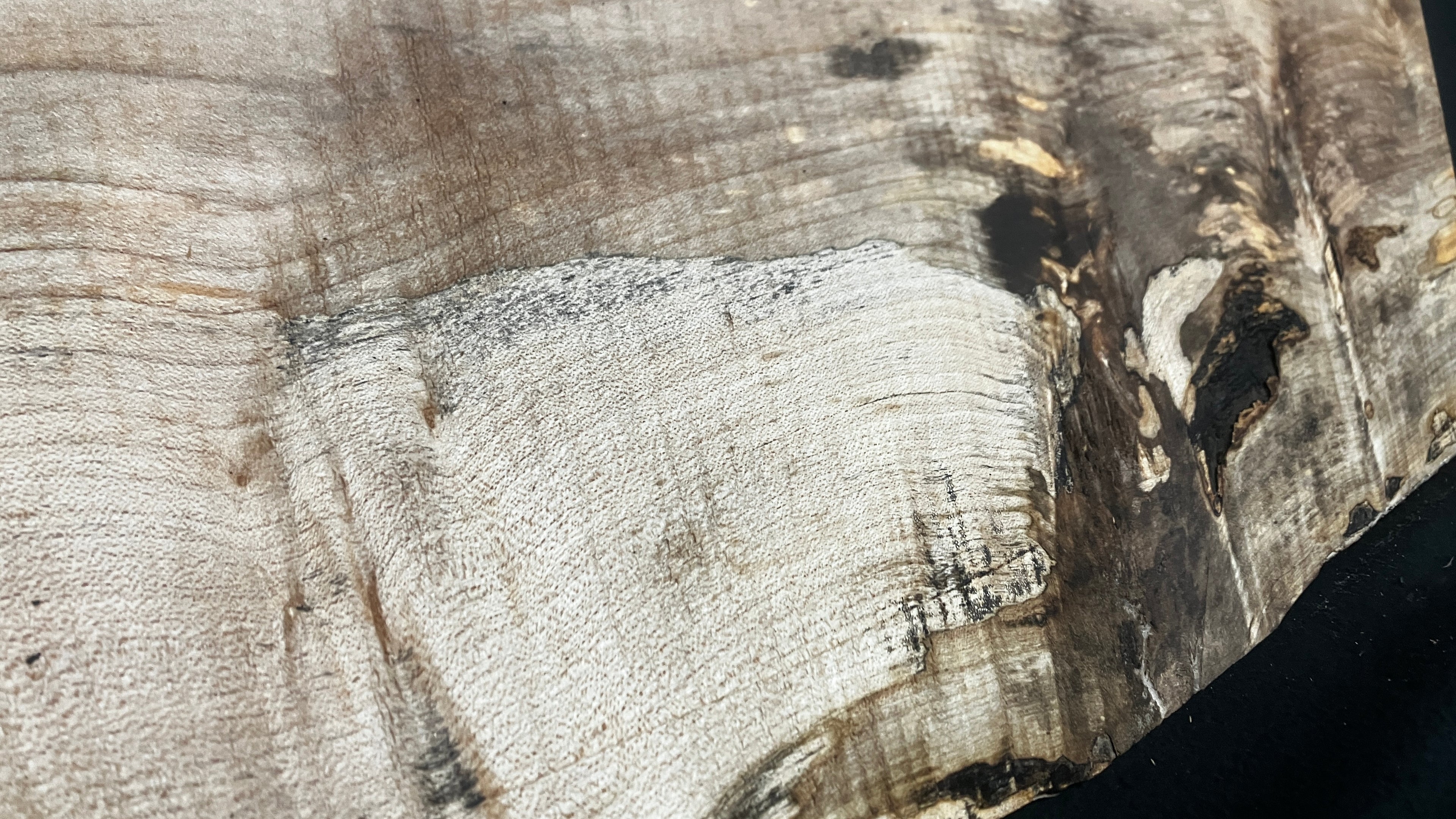 Sycamore tone wood, craft wood 615 L x 206 W x 20 D (mm)    (957)