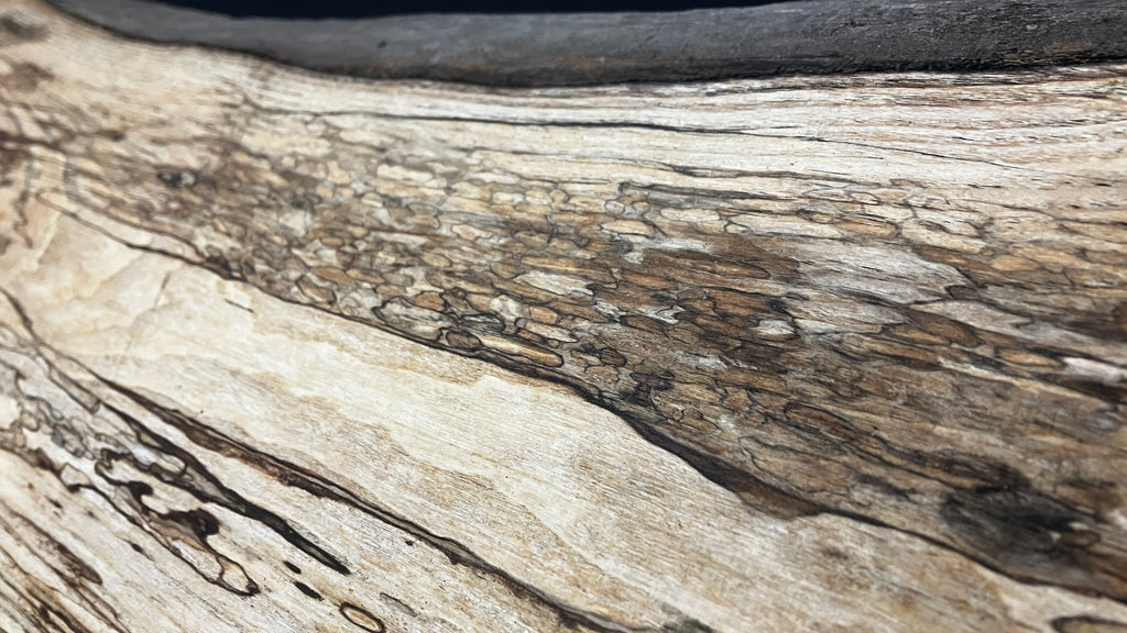 Spalted ash hardwood boards, shelving 1212 L x 401 W x 37 D (mm) (793)