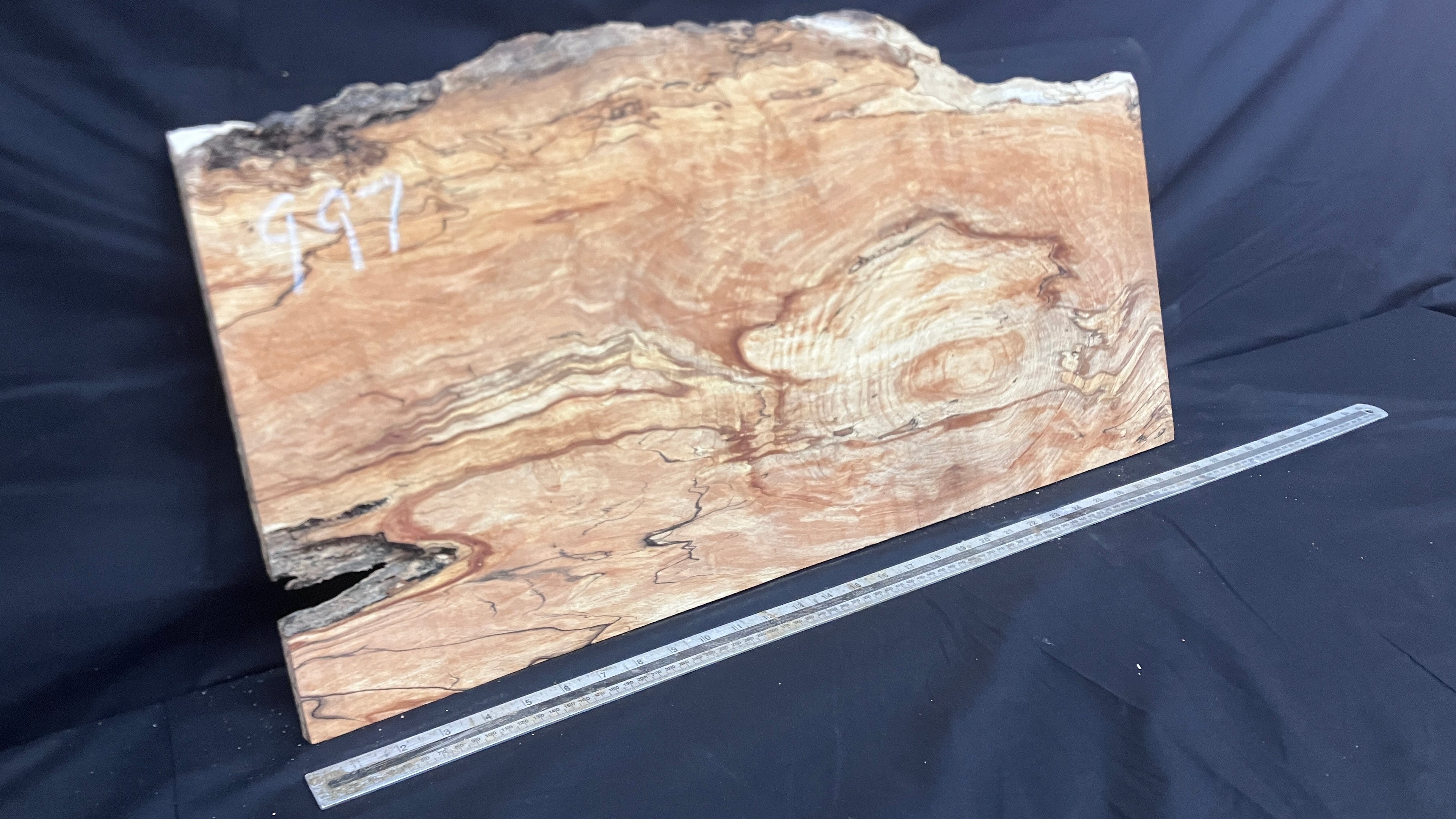 Spalted Beech timber, plank, board  790 L x 390 W x 19 D (mm)    (997)