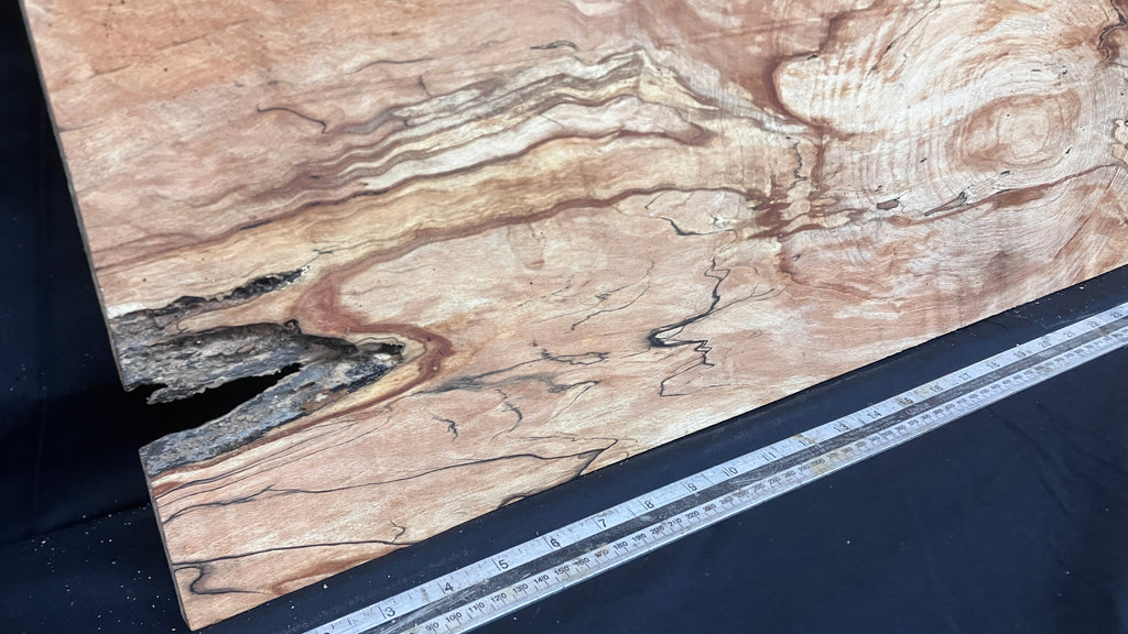 Spalted Beech timber, plank, board  790 L x 390 W x 19 D (mm)    (997)