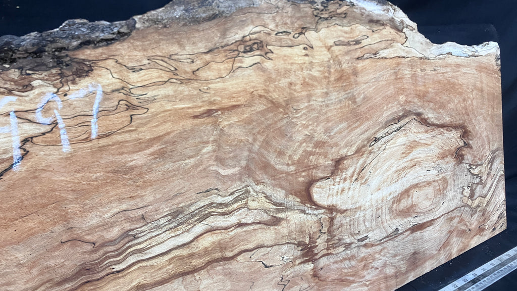 Spalted Beech timber, plank, board  790 L x 390 W x 19 D (mm)    (997)