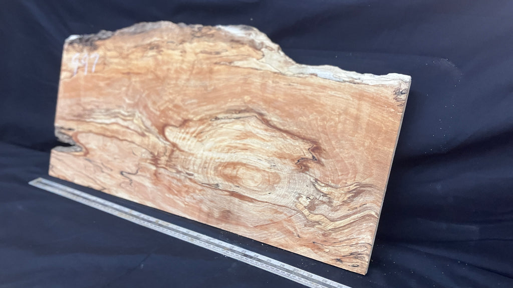 Spalted Beech timber, plank, board  790 L x 390 W x 19 D (mm)    (997)