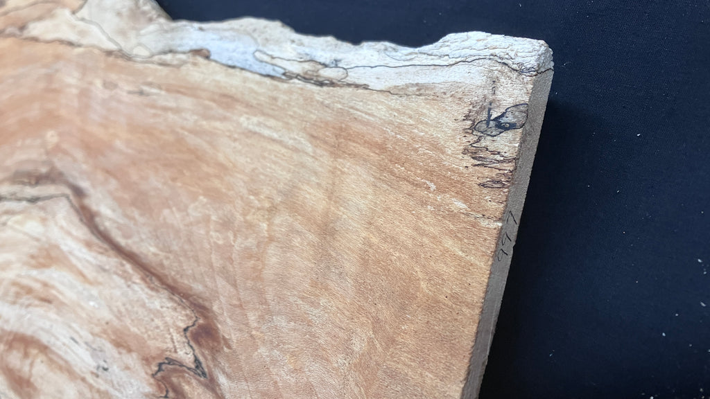 Spalted Beech timber, plank, board  790 L x 390 W x 19 D (mm)    (997)