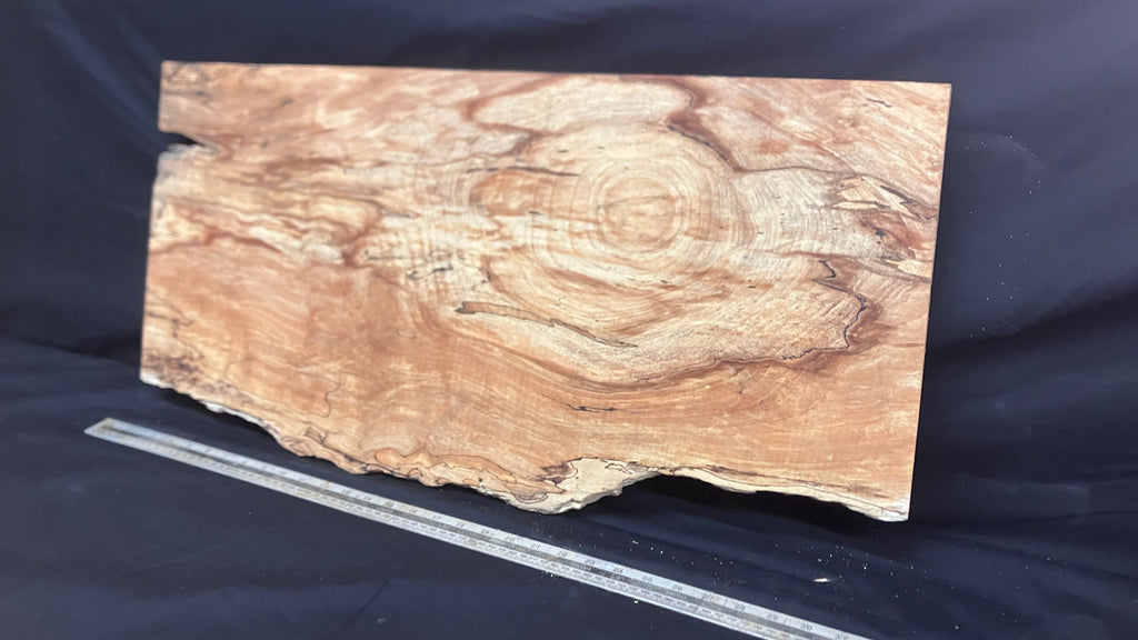 Spalted Beech timber, plank, board  790 L x 390 W x 19 D (mm)    (997)