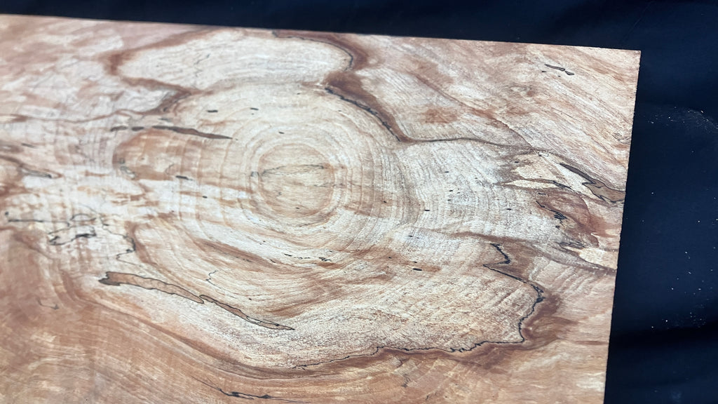 Spalted Beech timber, plank, board  790 L x 390 W x 19 D (mm)    (997)