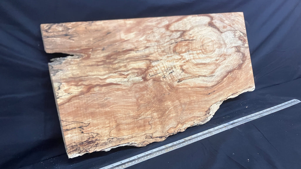 Spalted Beech timber, plank, board  790 L x 390 W x 19 D (mm)    (997)