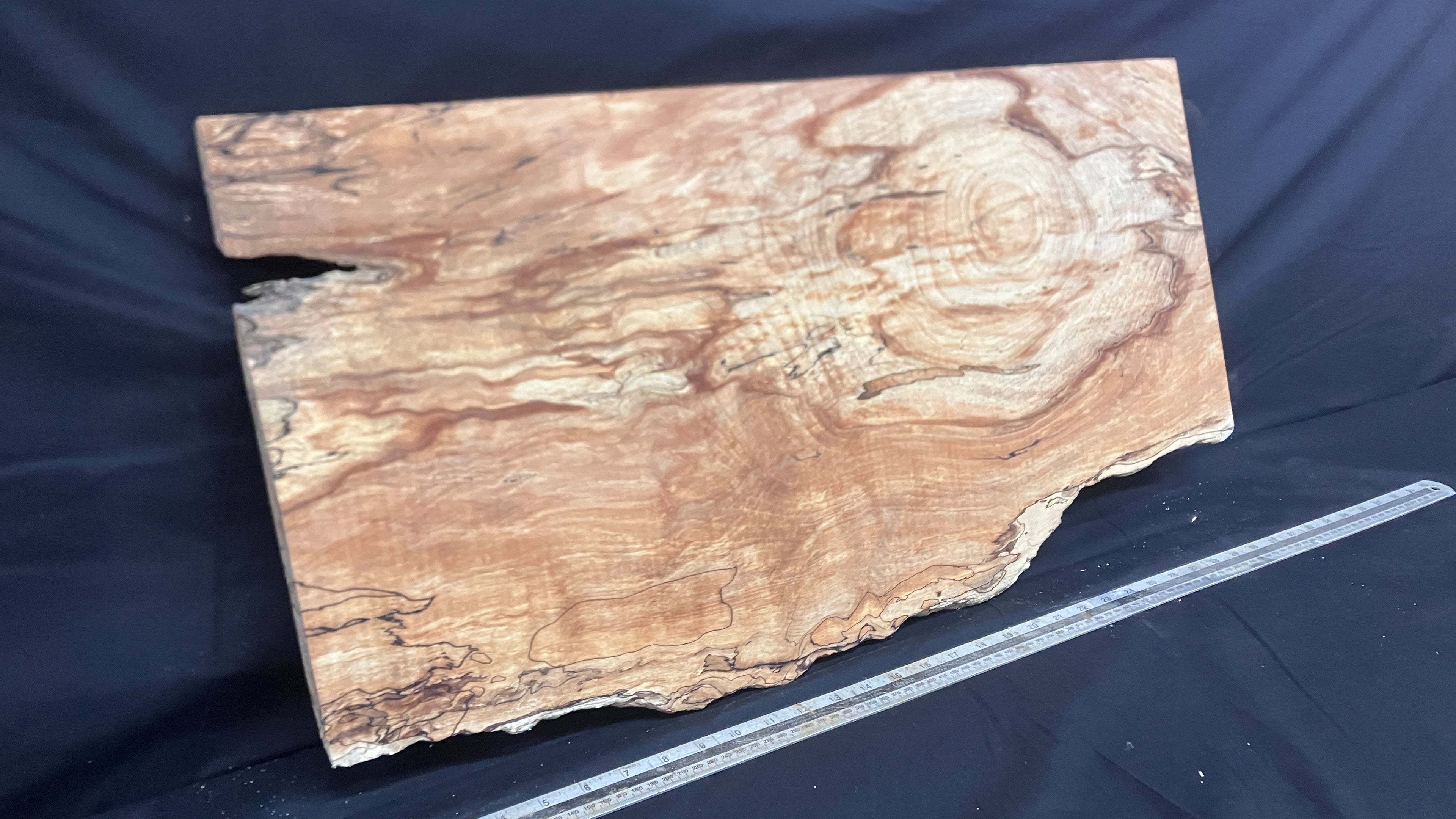 Spalted Beech timber, plank, board  790 L x 390 W x 19 D (mm)    (997)