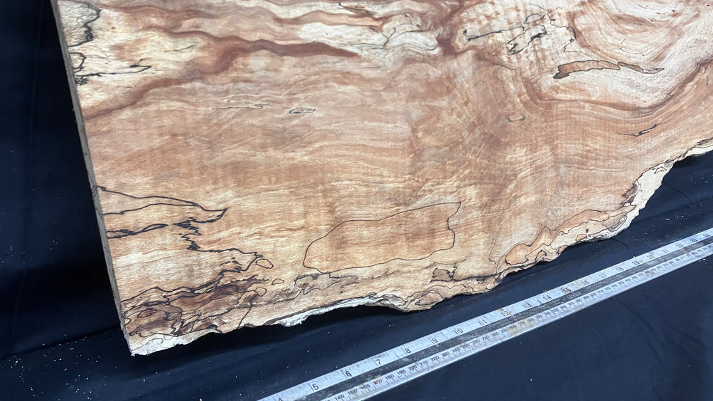 Spalted Beech timber, plank, board  790 L x 390 W x 19 D (mm)    (997)