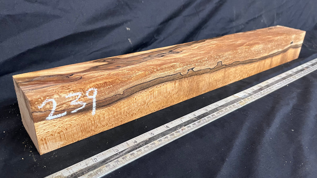 Spalted beech 610 x 67 mm B Grade Wood Turning Blank (239)