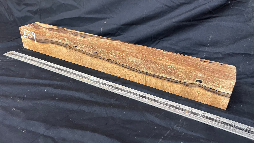 Spalted beech 610 x 67 mm B Grade Wood Turning Blank (239)