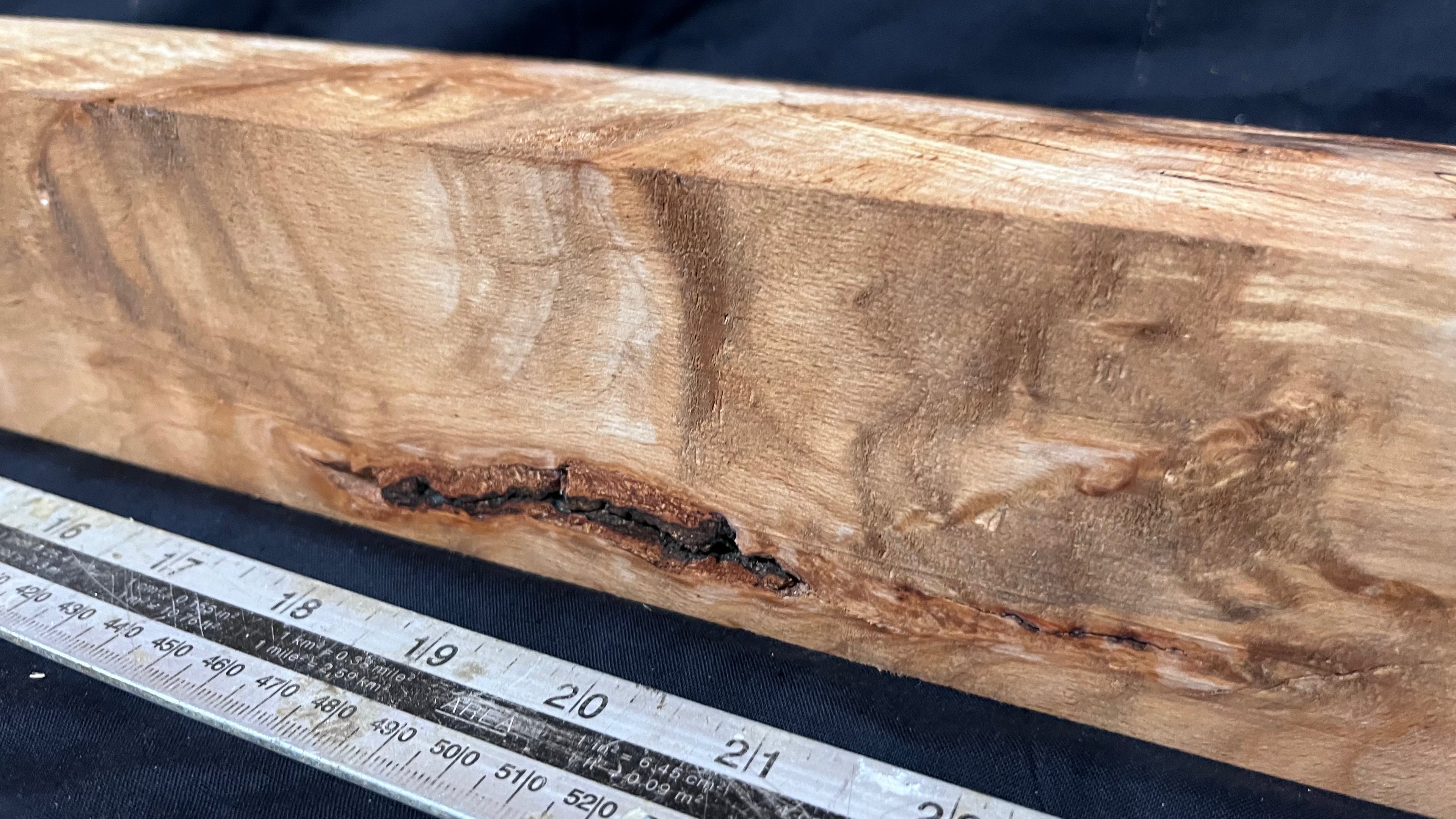 Spalted beech 817 x 68 mm B Grade Wood Turning Blank (240)