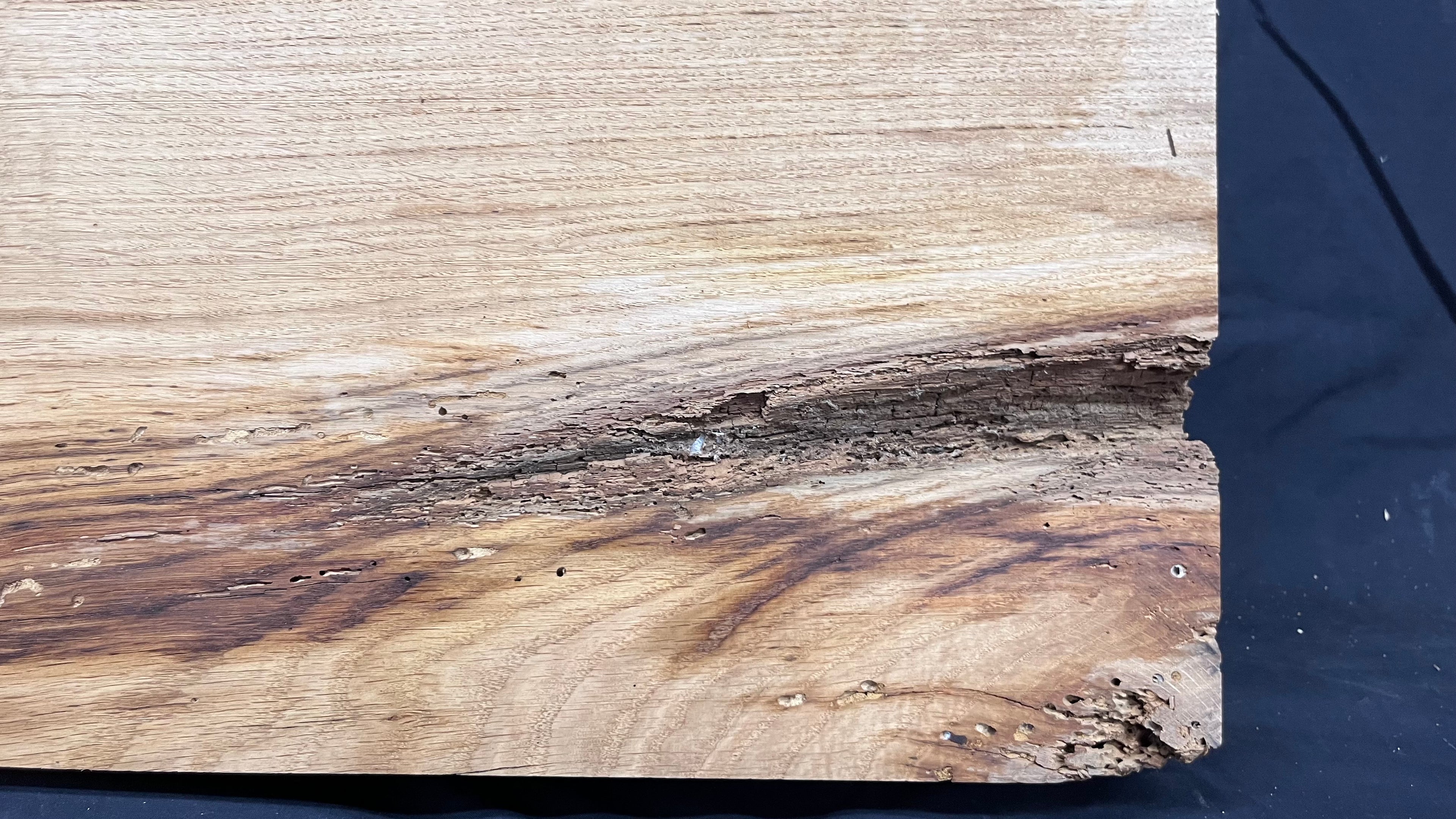 Oak mantle piece, old, reclaimed fire mantle, 1514 L x 300 W x 80 D mm    (373)