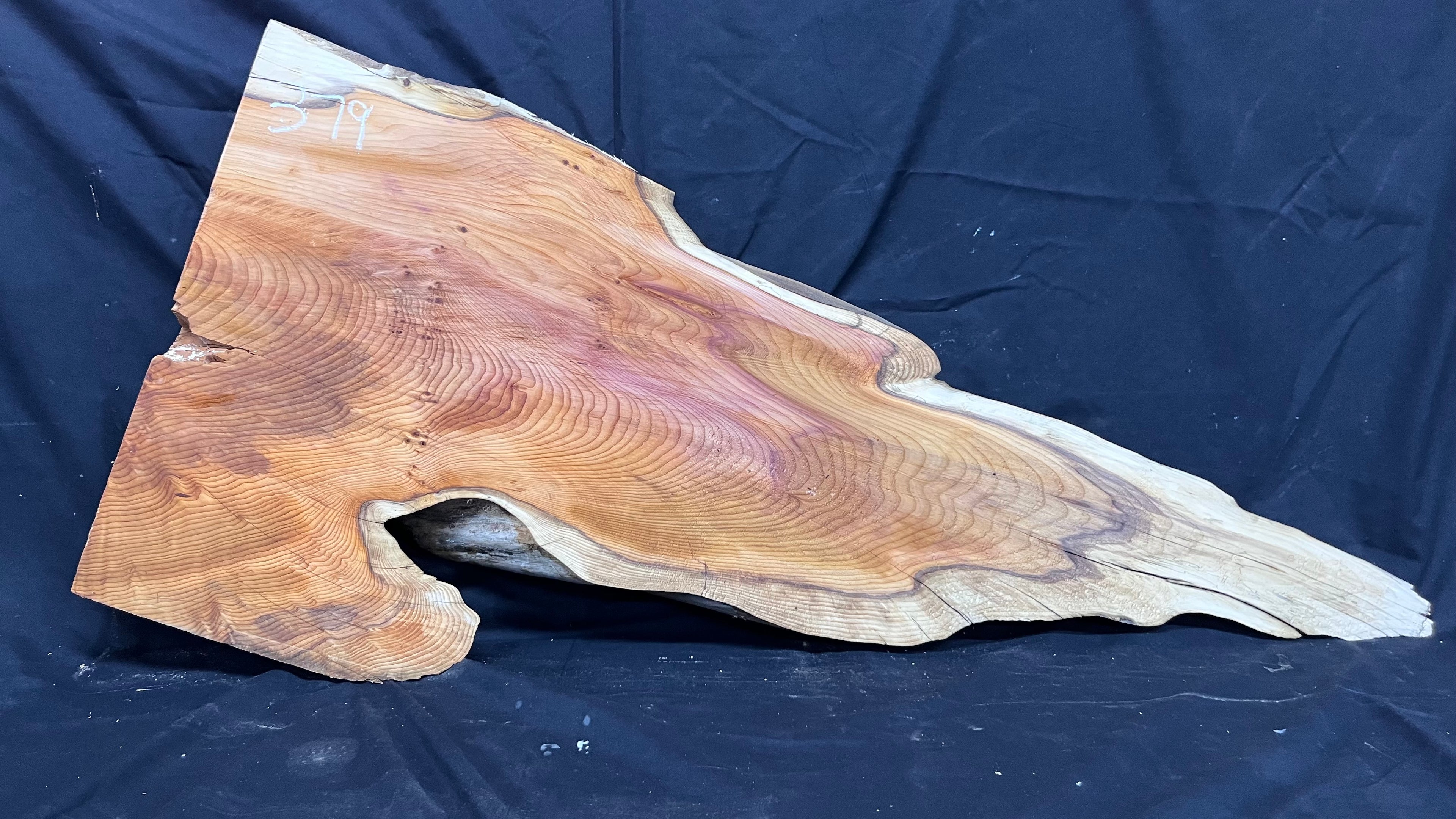 Hardwood yew, slab, board 1023 L x 455 W x 47 D mm    (379)