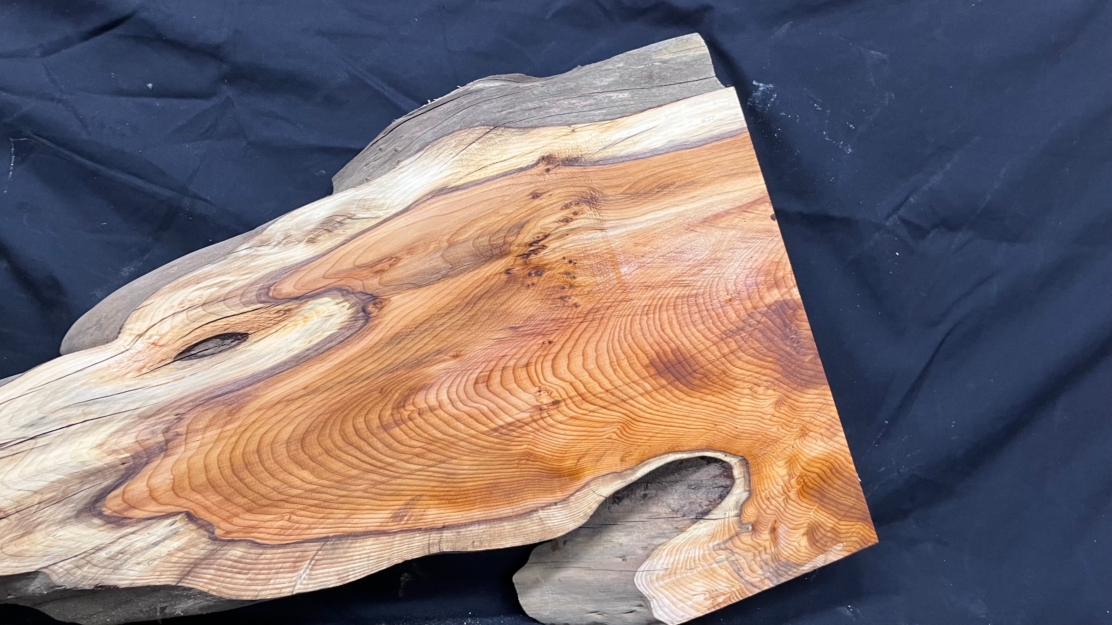 Hardwood yew, slab, board 1023 L x 455 W x 47 D mm    (379)