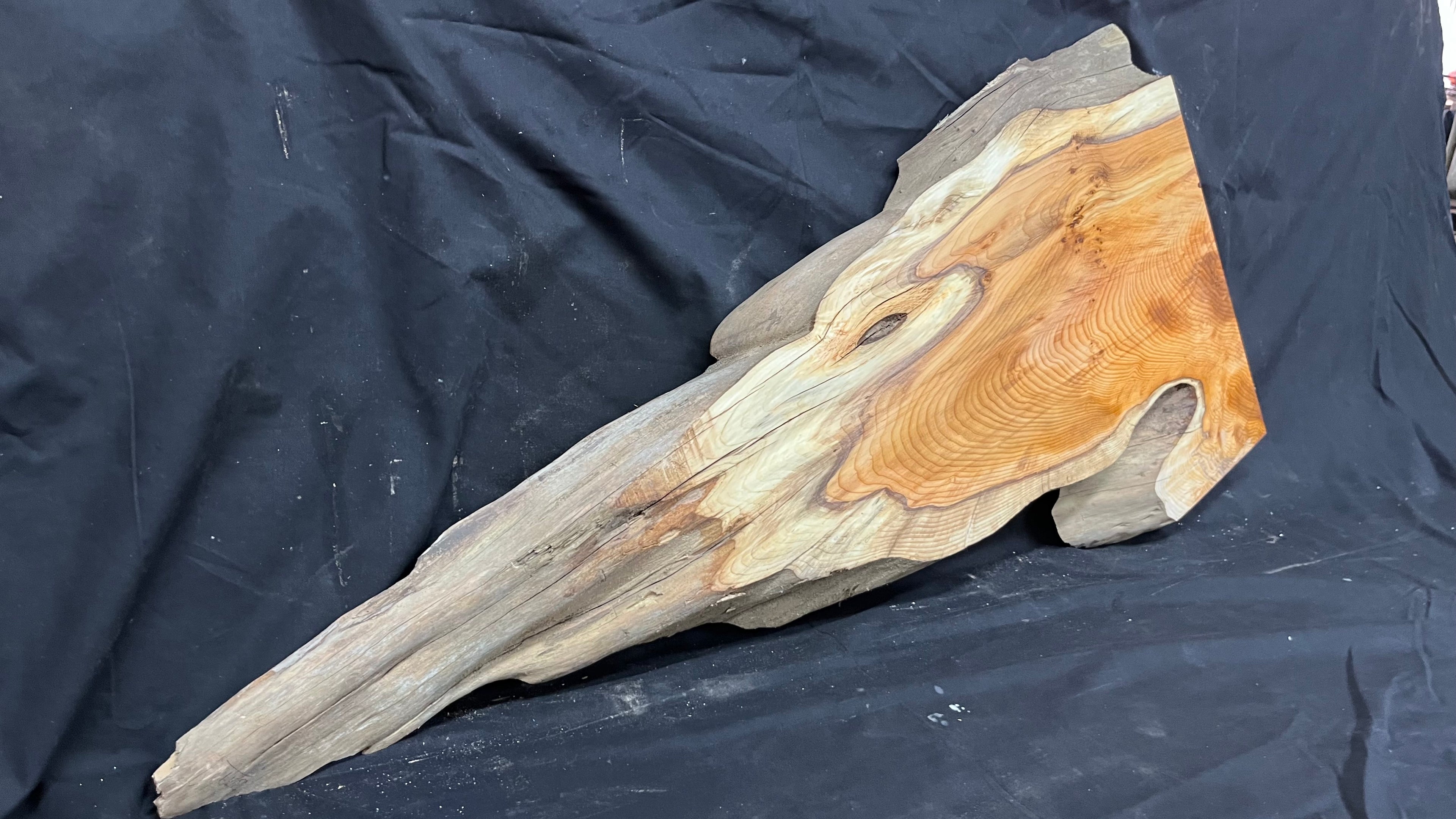 Hardwood yew, slab, board 1023 L x 455 W x 47 D mm    (379)