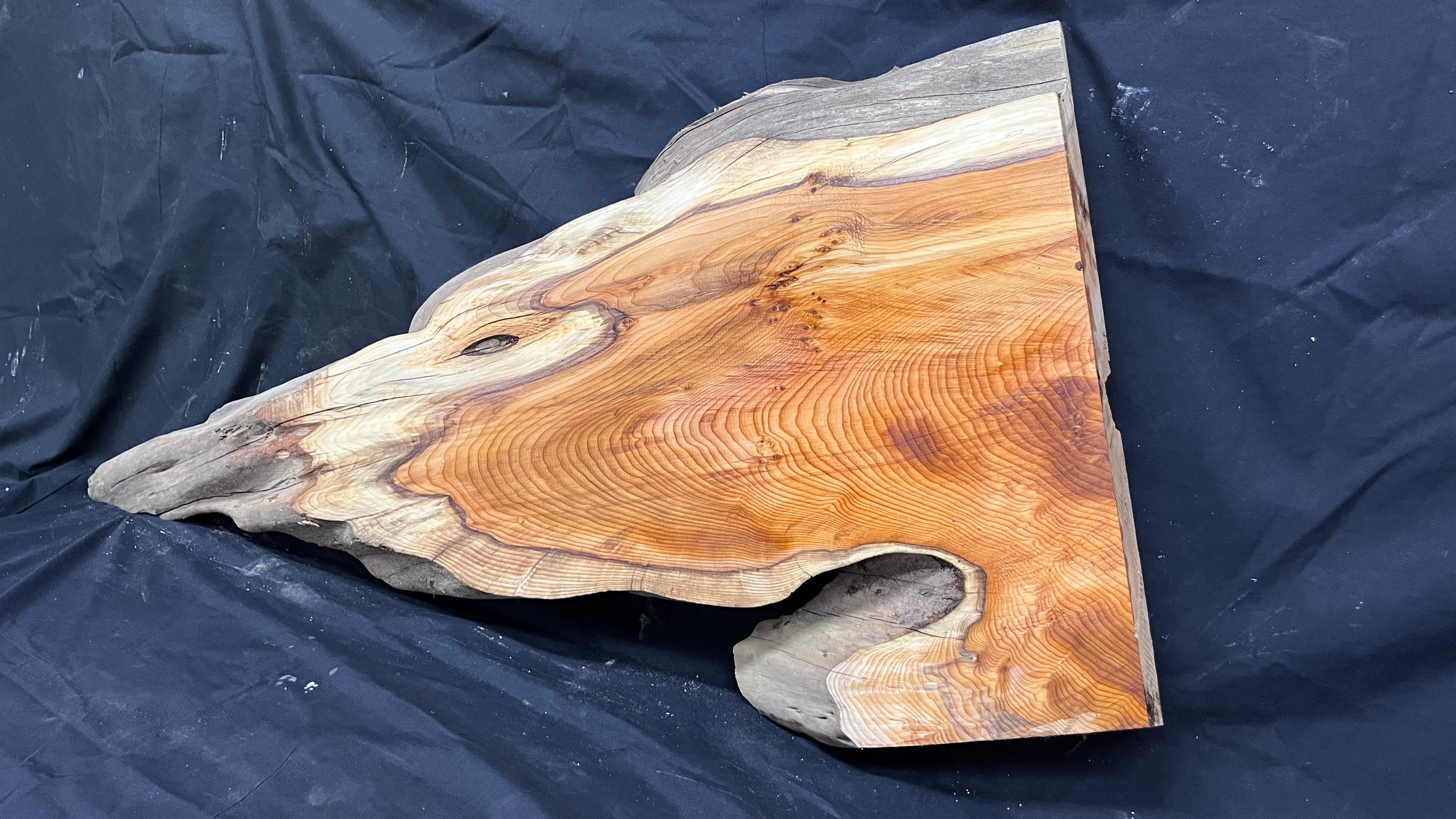 Hardwood yew, slab, board 1023 L x 455 W x 47 D mm    (379)