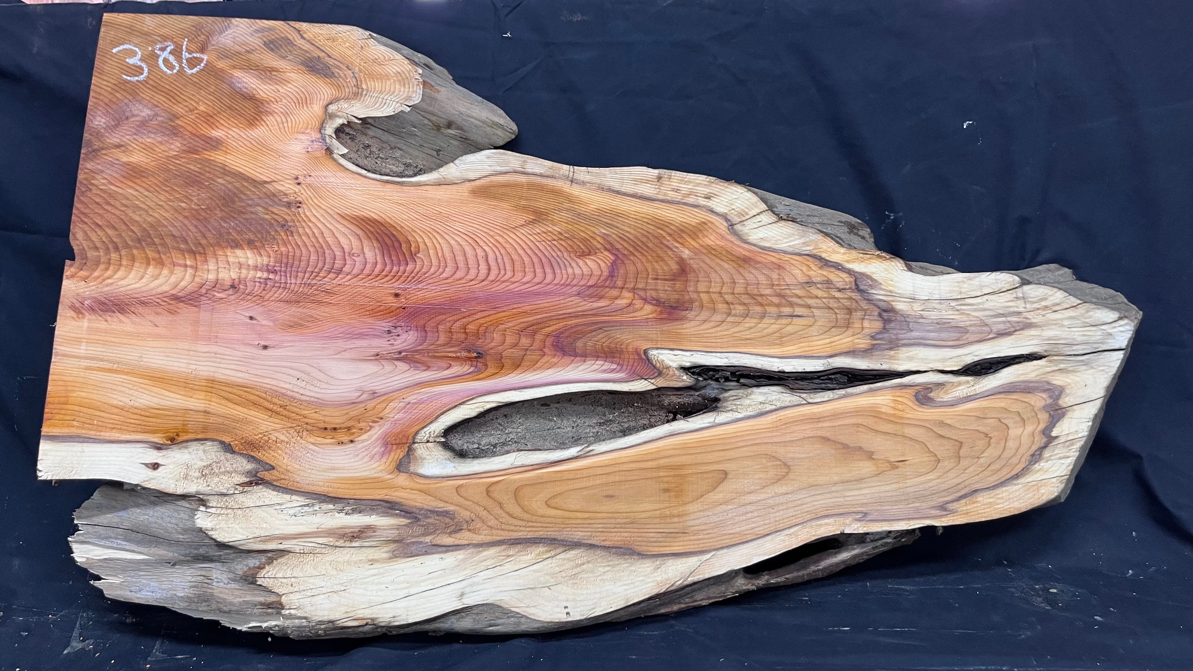 Hardwood yew, coffee table, slab, board, shelf 1126 L x 610 W x 46 D mm    (386)