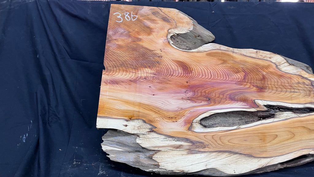Hardwood yew, coffee table, slab, board, shelf 1126 L x 610 W x 46 D mm    (386)