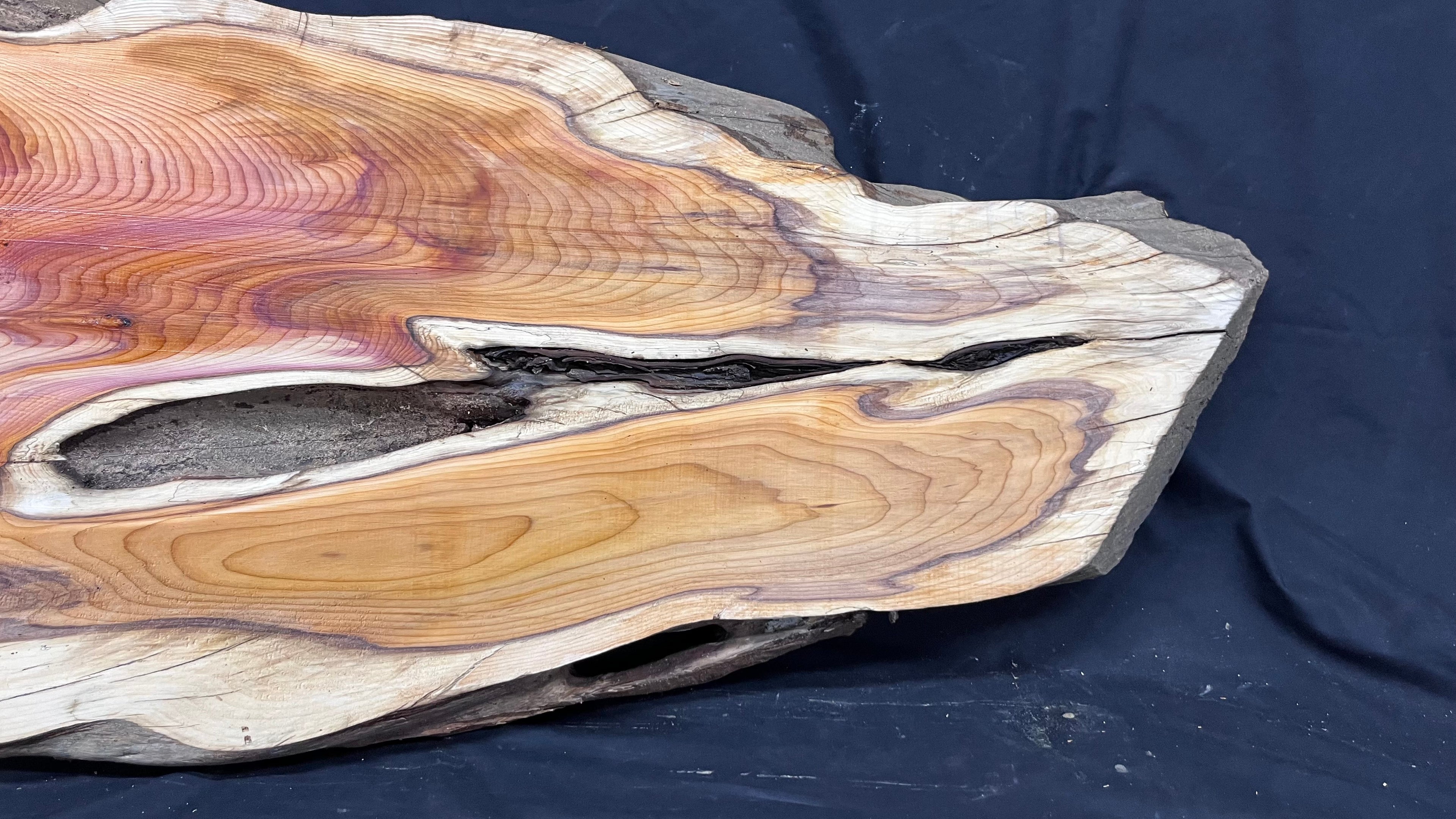 Hardwood yew, coffee table, slab, board, shelf 1126 L x 610 W x 46 D mm    (386)