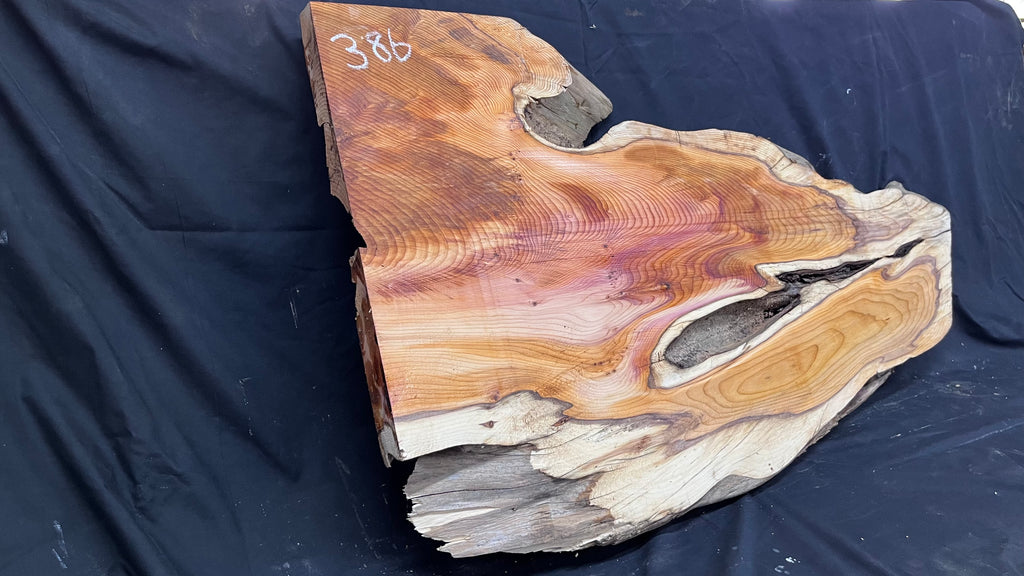 Hardwood yew, coffee table, slab, board, shelf 1126 L x 610 W x 46 D mm    (386)
