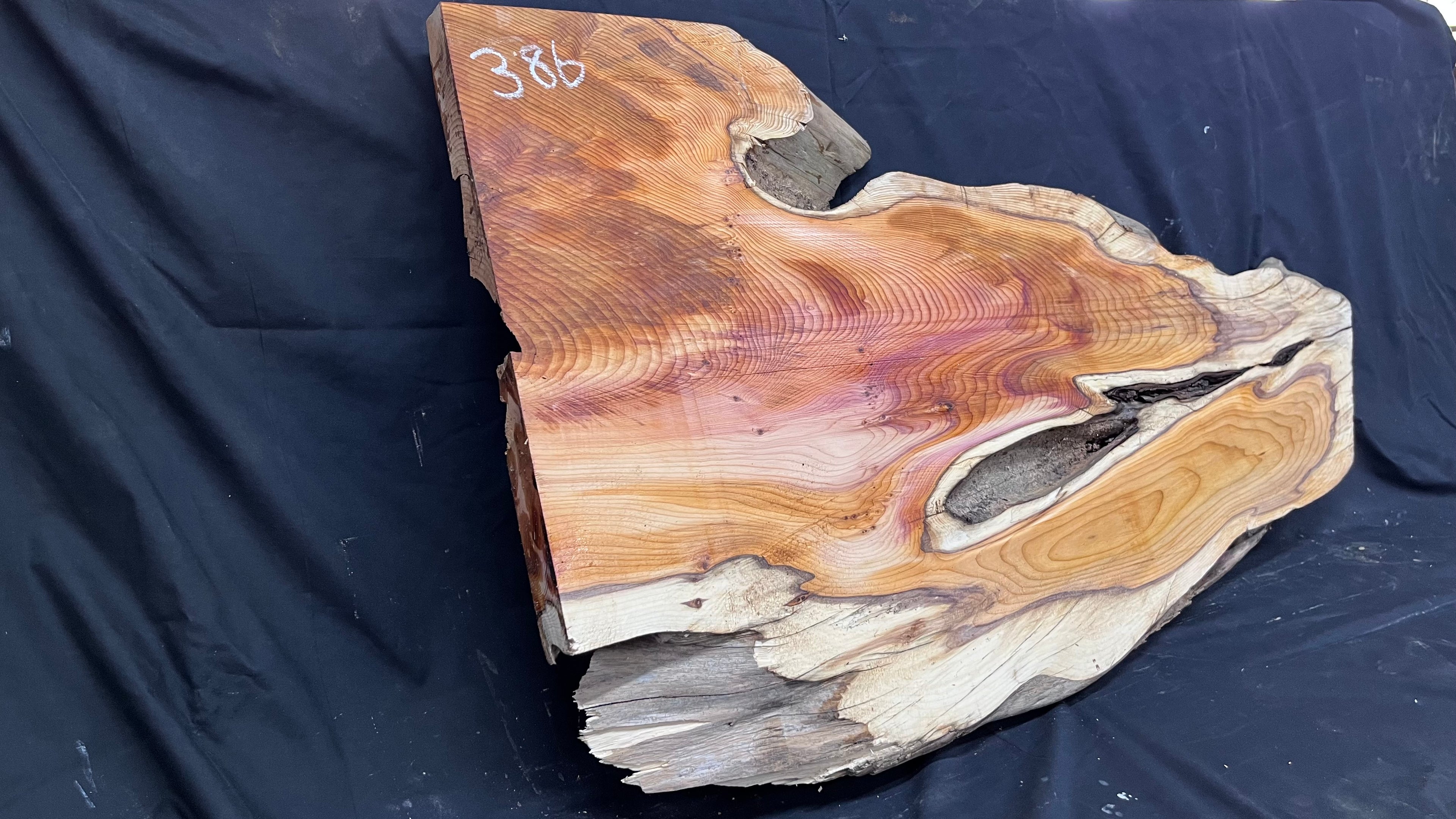 Hardwood yew, coffee table, slab, board, shelf 1126 L x 610 W x 46 D mm    (386)