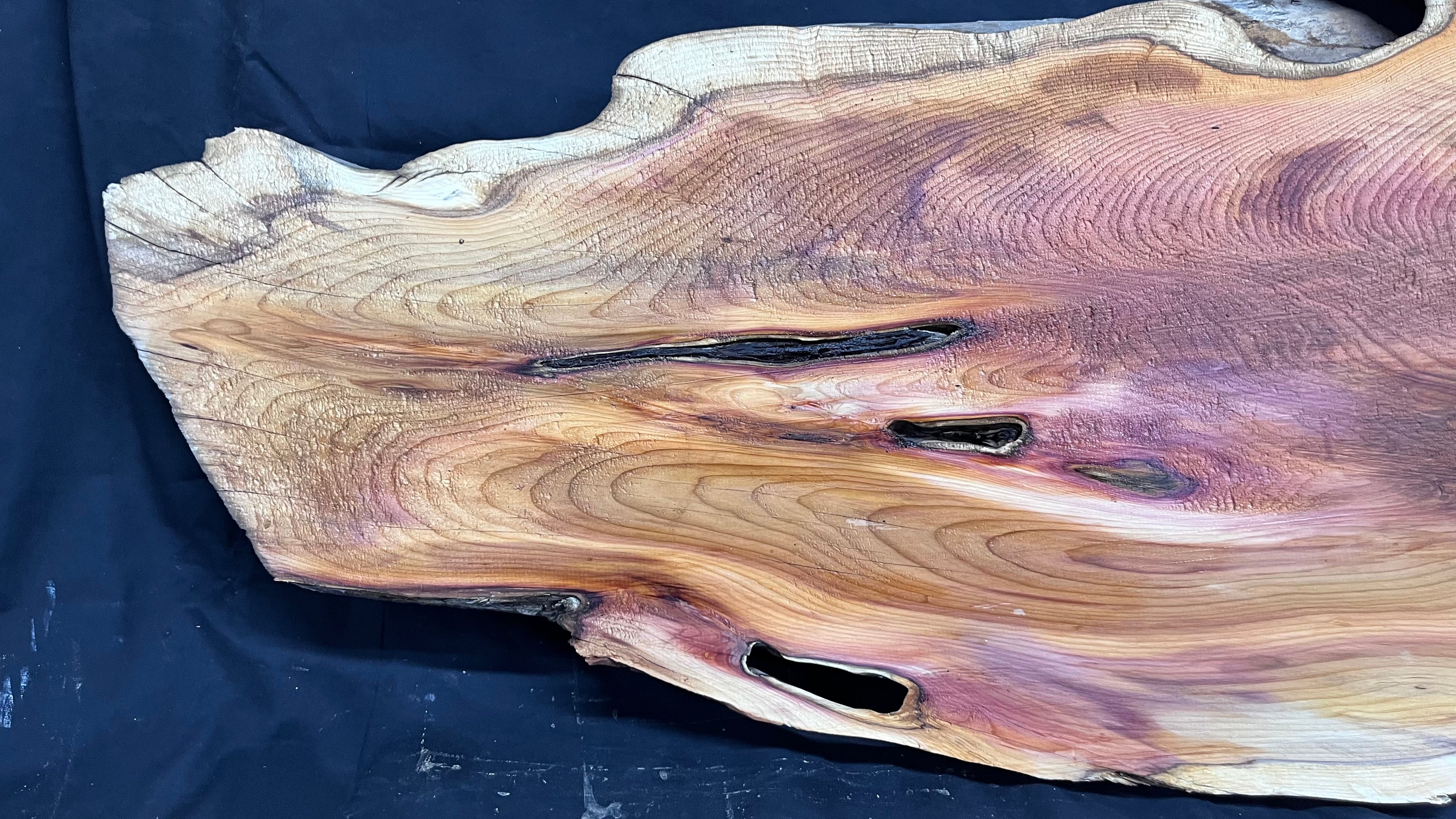Hardwood yew, coffee table, slab, board, shelf 1126 L x 610 W x 46 D mm    (386)