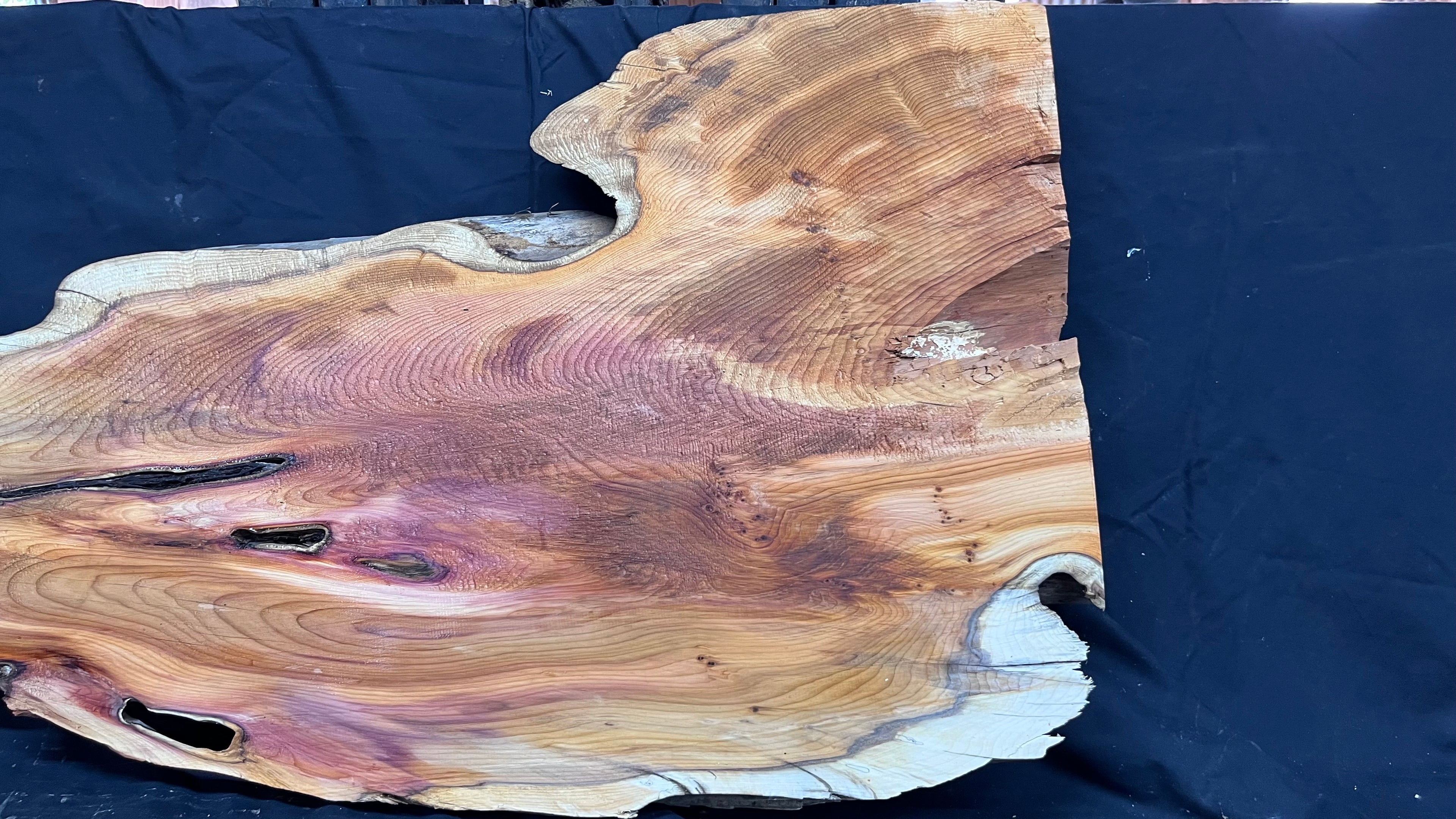 Hardwood yew, coffee table, slab, board, shelf 1126 L x 610 W x 46 D mm    (386)