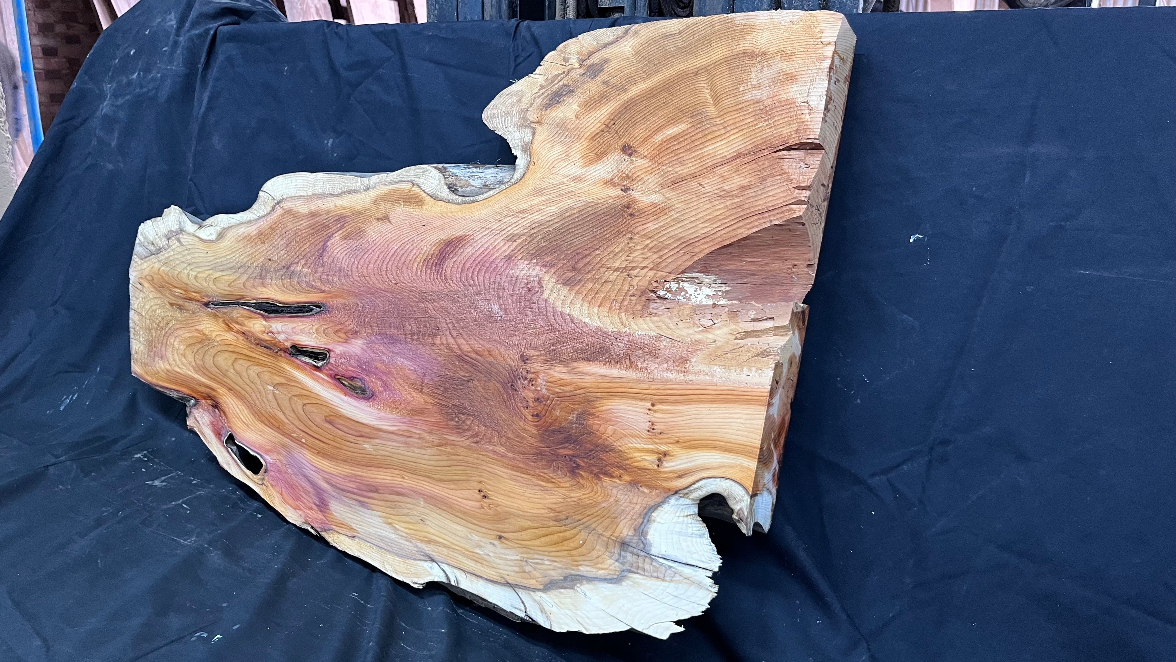Hardwood yew, coffee table, slab, board, shelf 1126 L x 610 W x 46 D mm    (386)